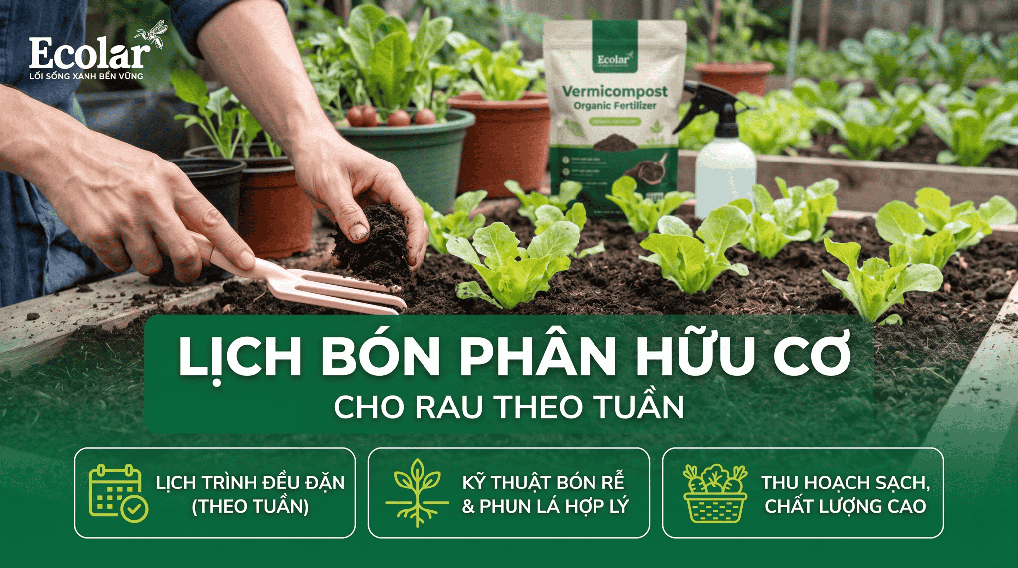 lich-bon-phan-huu-co-cho-rau-theo-tuan-de-ap-dung-tai-nha_8da8589fb50a493ca0d10cba84280081.png