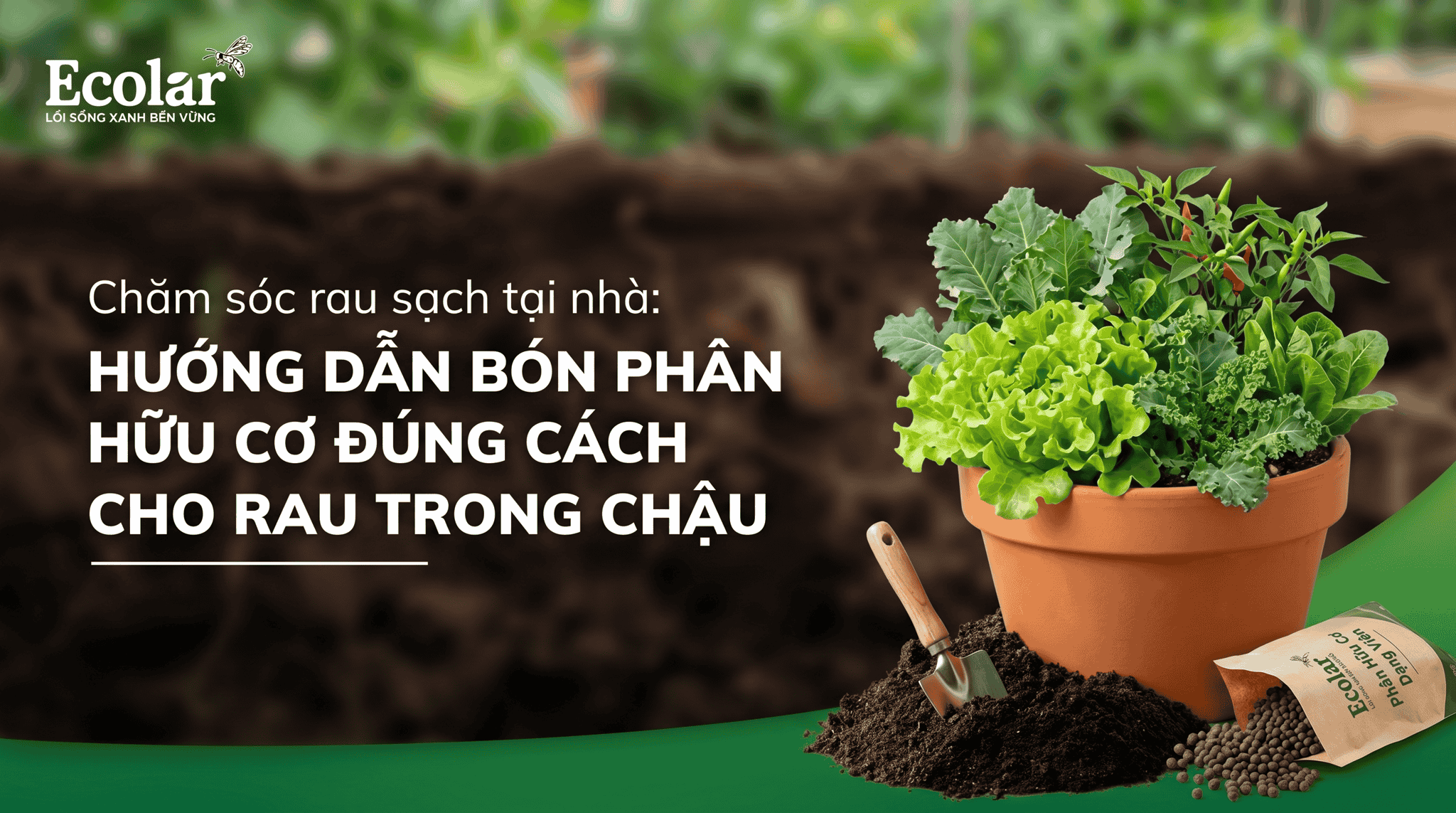 lieu-luong-bon-phan-huu-co-cho-rau-trong-chau-de-ap-dung-tai-nha.png