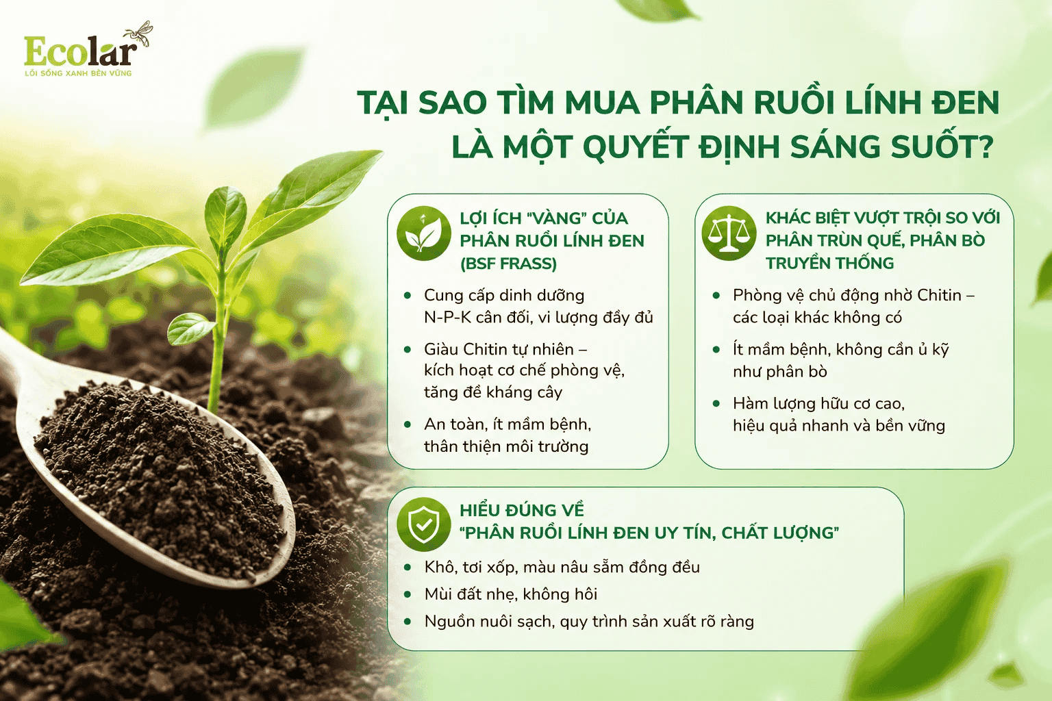 -linh-den-la-mot-quyet-dinh-sang-suot_a670076097d341cd95fabdf529c066af (1).png