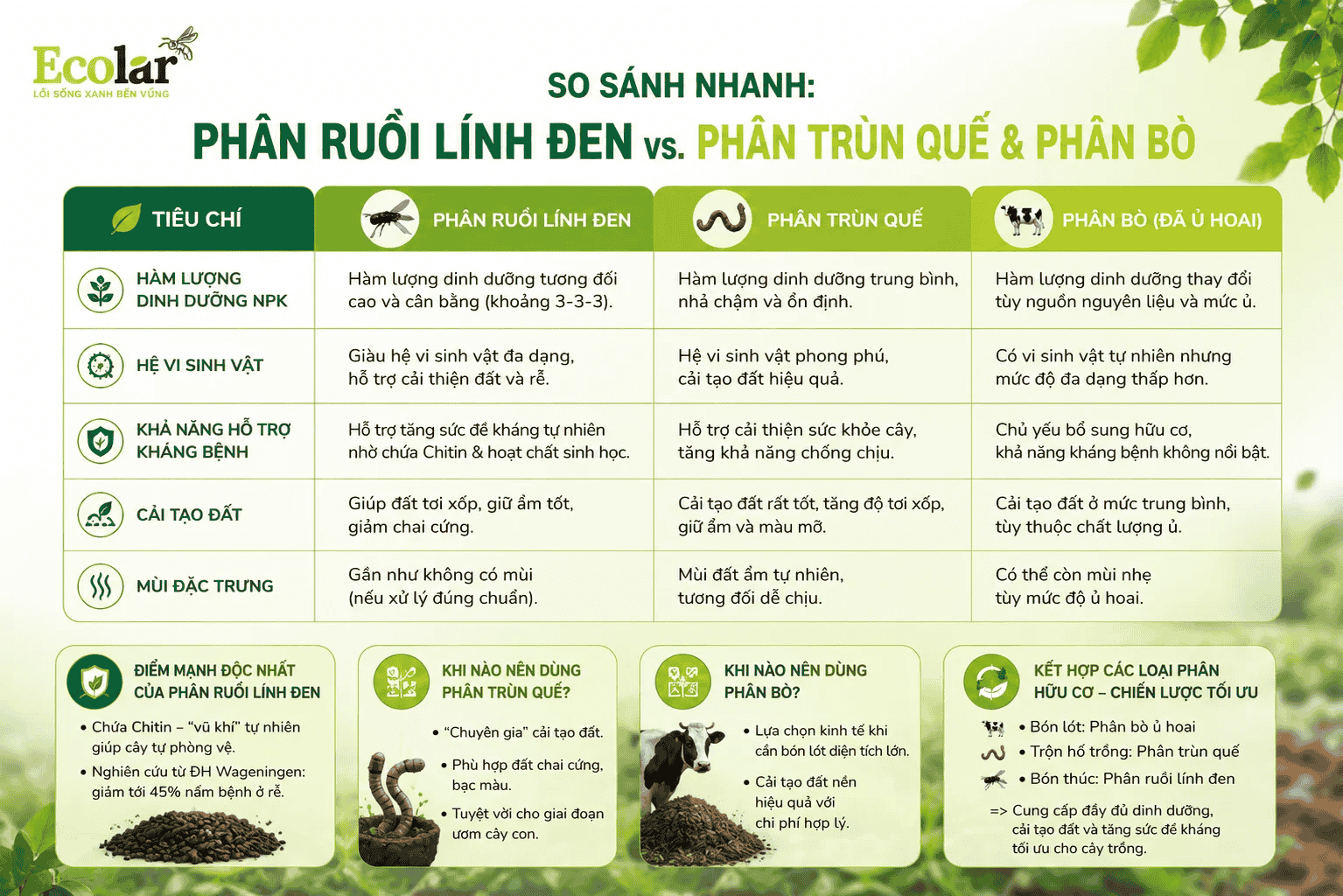 -linh-den-vs-phan-trun-que-va-phan-bo_ddb654e801d148f3b00c23ddfba03c90 (1).png