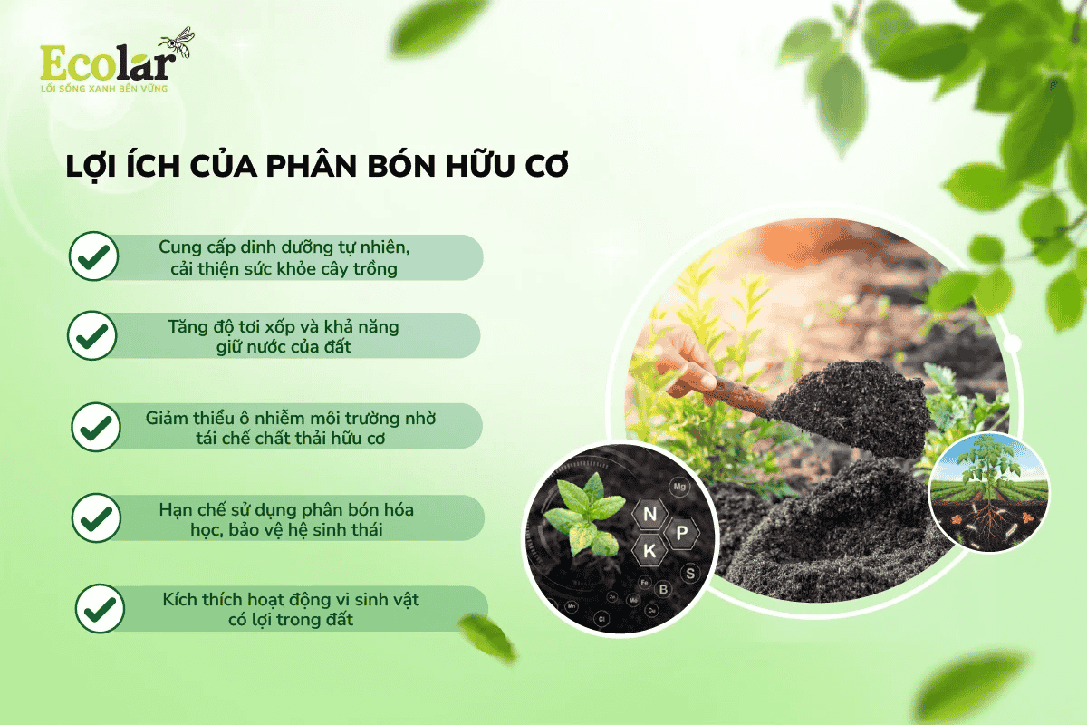 loi-ich-cua-phan-bon-huu-co_b5ab5e6a3be64481a0db8d97d05e93fb (1).png