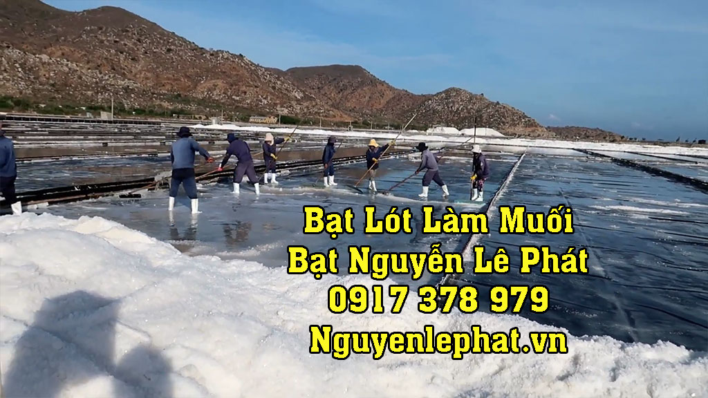 mang-bat-lot-lam-muoi.jpg