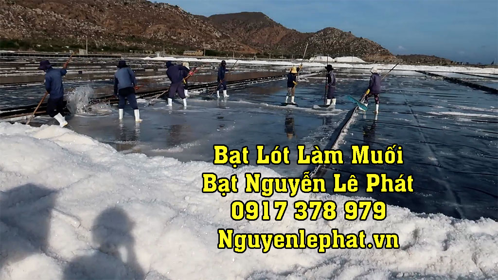 mang-bat-lot-lam-muoi1.jpg