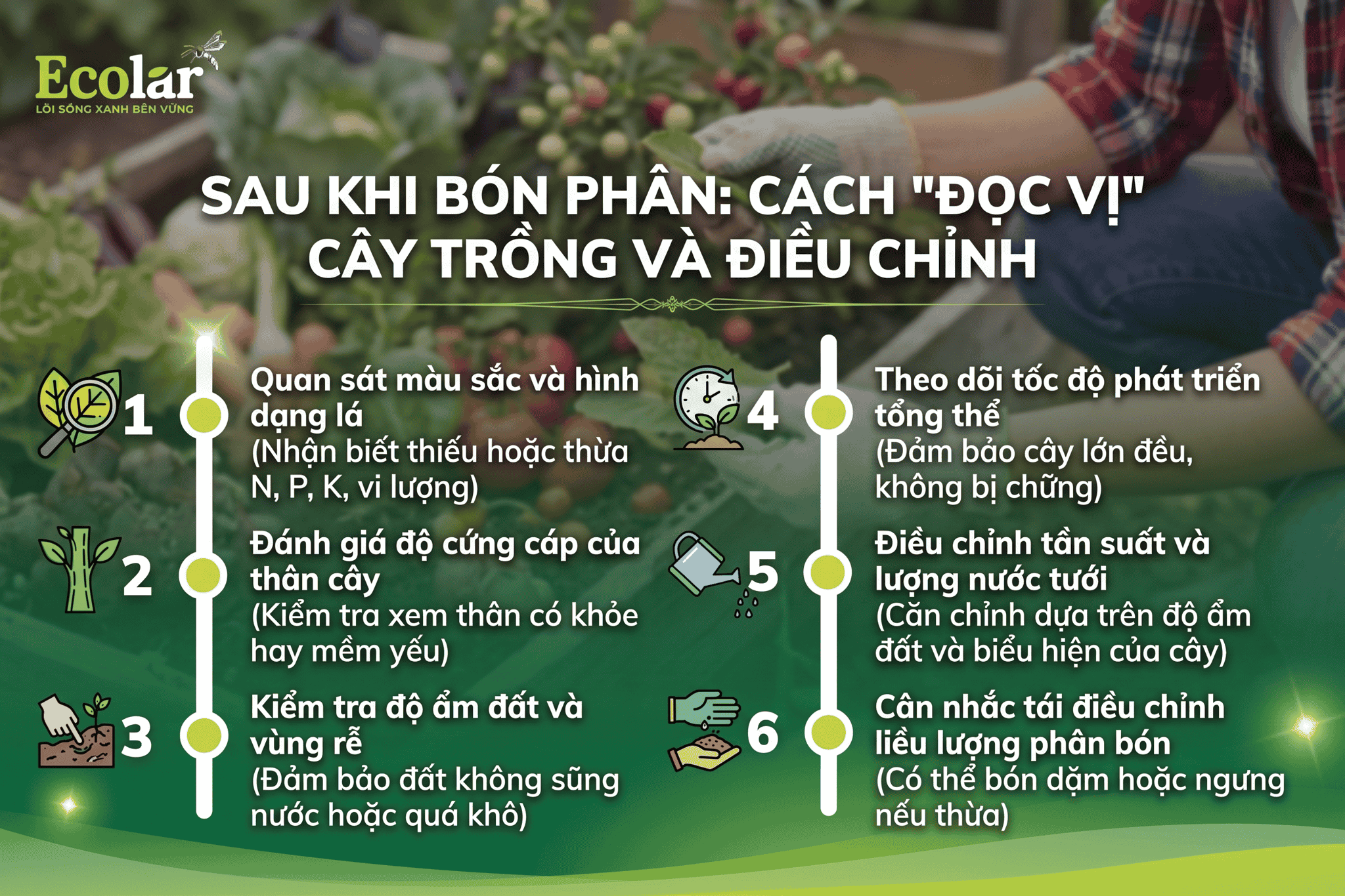 n-cach-doc-vi-cay-trong-va-dieu-chinh_a16786e6c50d4cb4be91ce2ad844d707.png