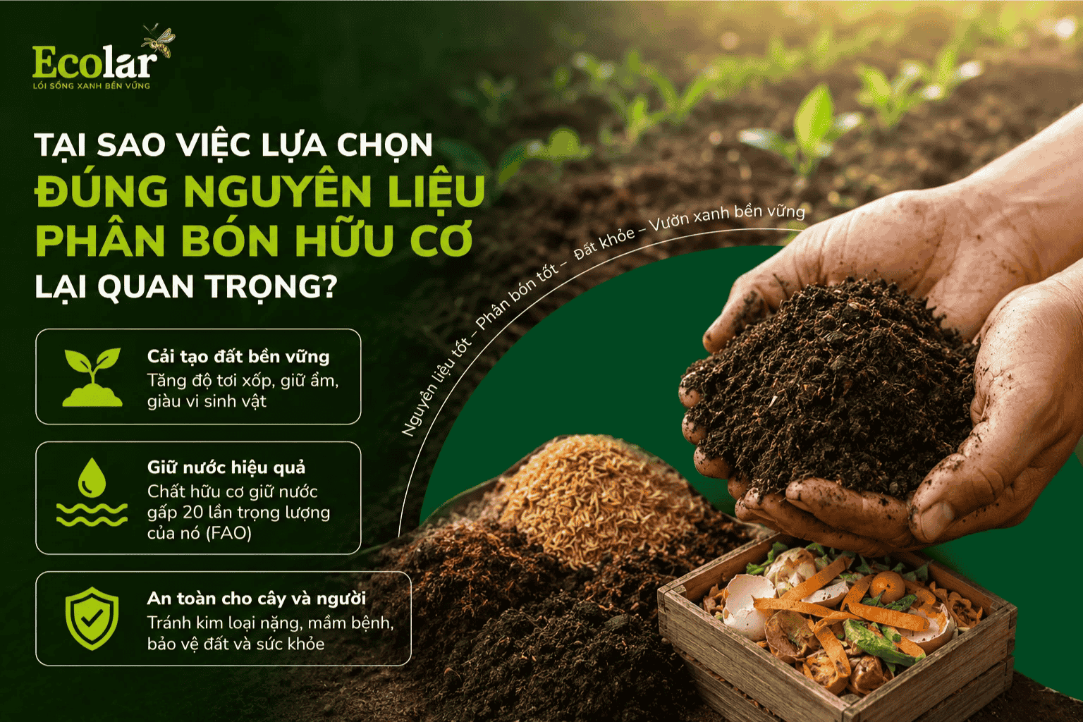 n-lieu-phan-bon-huu-co-lai-quan-trong_1652f93fa58d44e2a55a3bab57efec04 (1).png