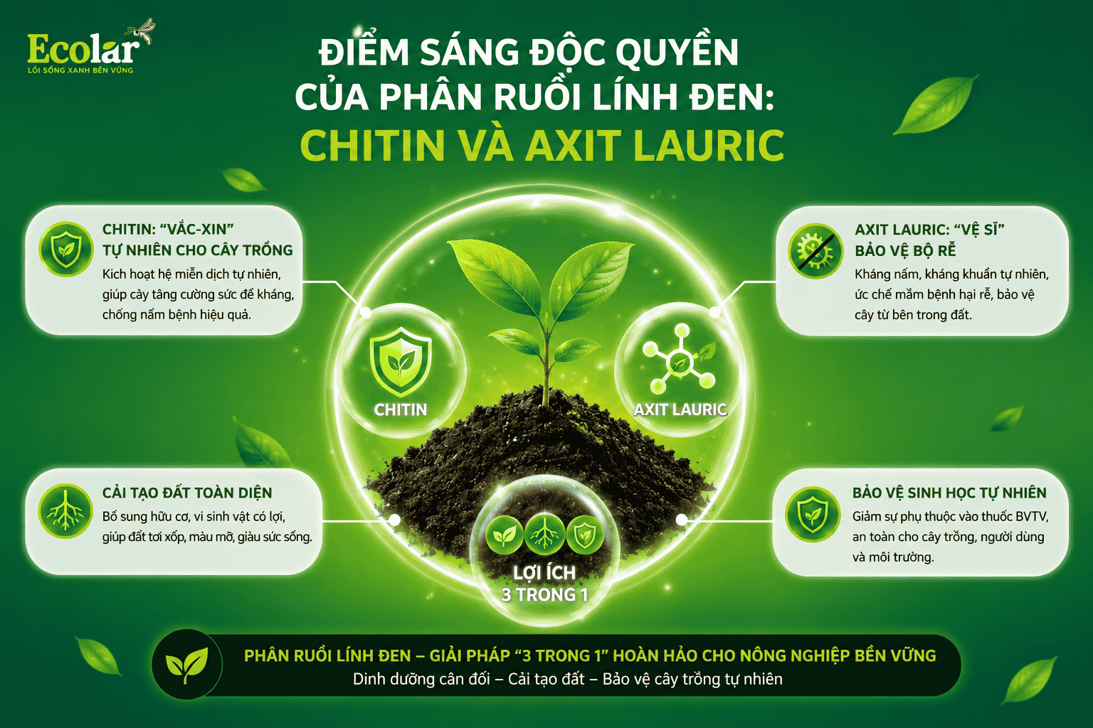 n-ruoi-linh-den-chitin-va-axit-lauric_6d01078d8ad9442dba532525333bea64.png
