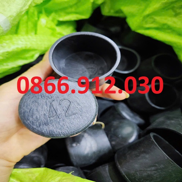 nap-chup-nhua-phi-42mm.jpg