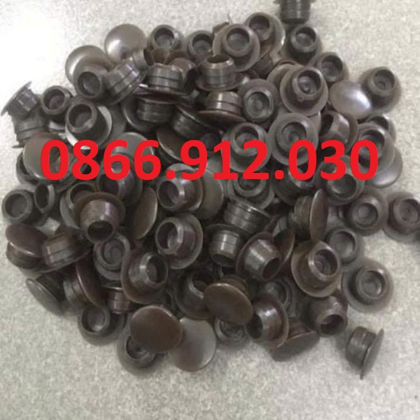 nap-nhua-chup-dau-vit.jpg