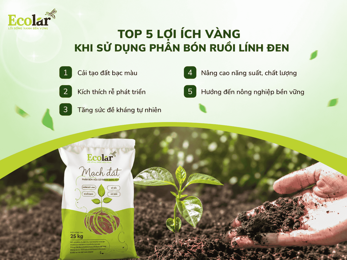 ng-khi-su-dung-phan-bon-ruoi-linh-den_b206bbac33af45918994a932798336ad (1).png