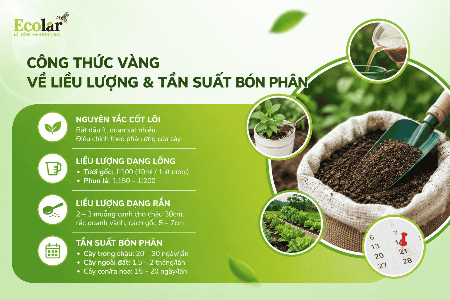 ng-ve-lieu-luong-va-tan-suat-bon-phan_c3868da64bac4713aa178f9537d39891 (1).png