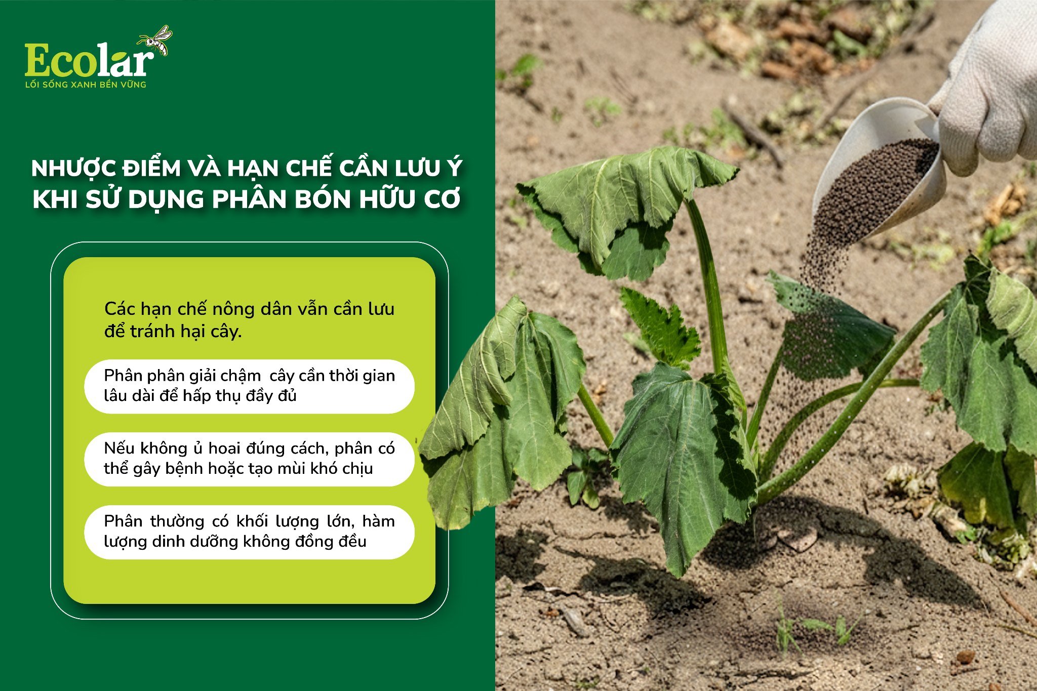 nhược điểm.jpg