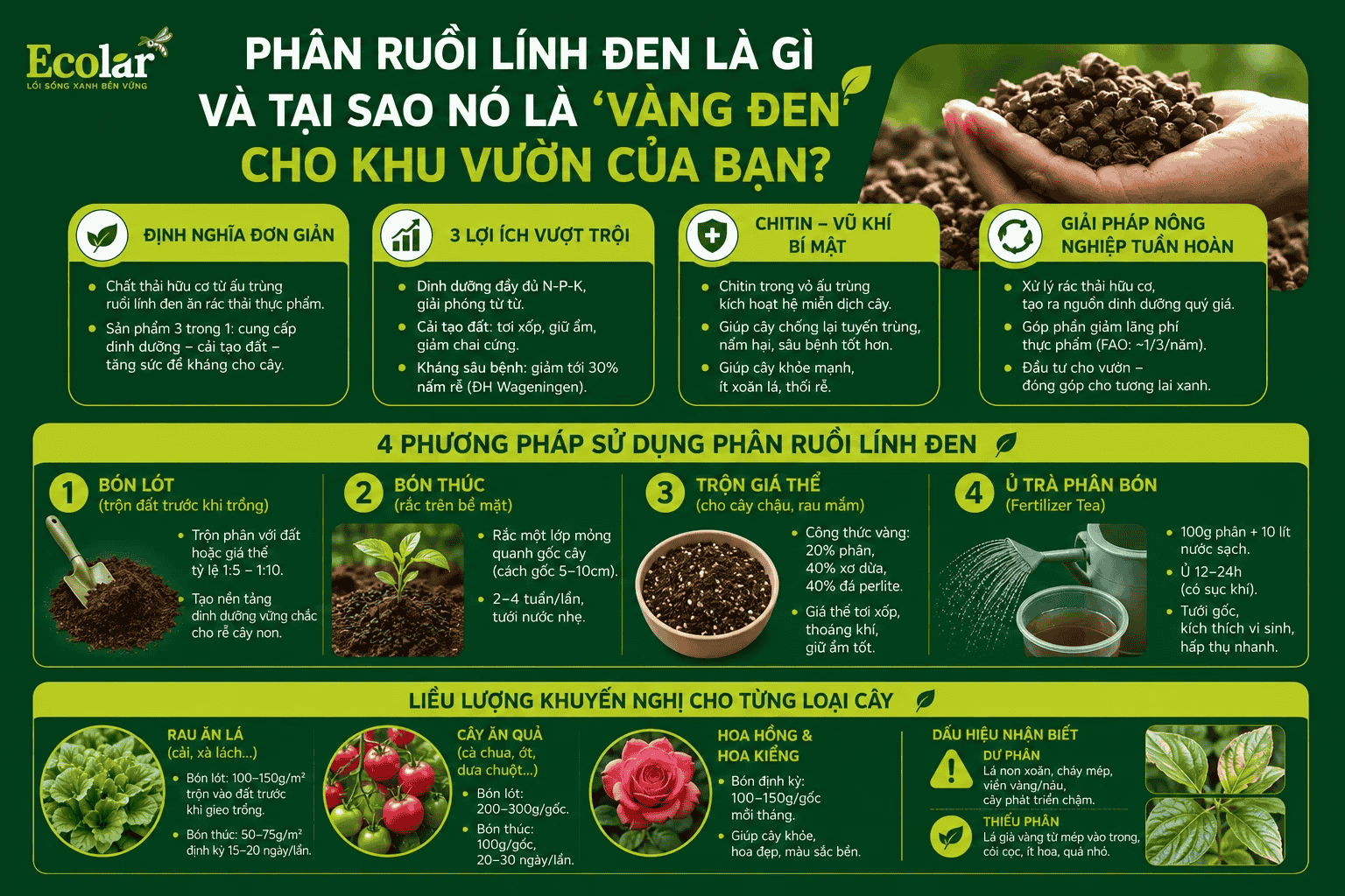 o-no-la-vang-den-cho-khu-vuon-cua-ban_fb9cb7e7690c474da07fca6daebdc422 (1).png