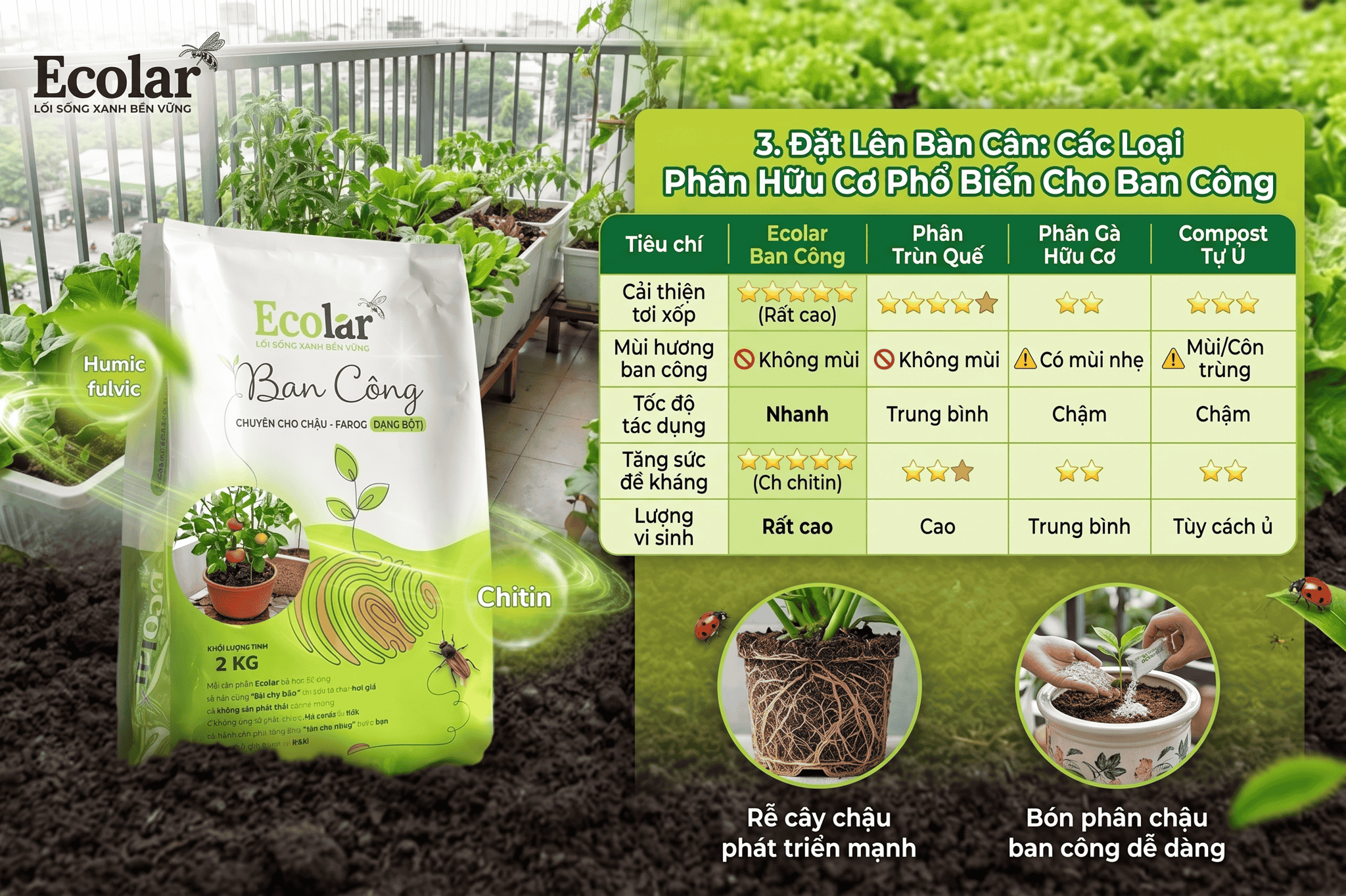 oai-phan-huu-co-pho-bien-cho-ban-cong_2d3d8eaf41754e7d85f7b5329a1d8186 (1).png