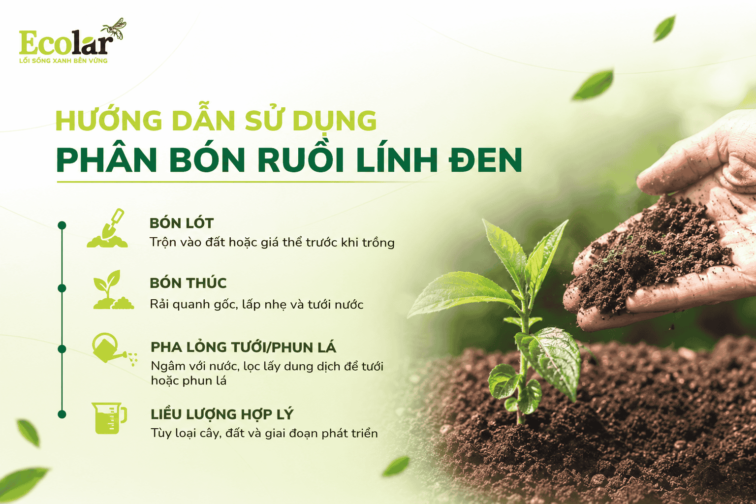 oi-linh-den-dung-cach-toi-uu-hieu-qua_2583635800054e198e9e24785d0e6206 (1).png