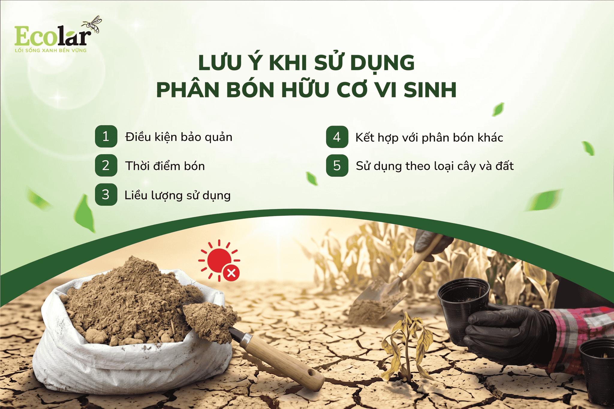 on-khi-dat-qua-kho-hoac-troi-nang-gat_1d3603a2ac5843cda430b68b1f4b0960.png