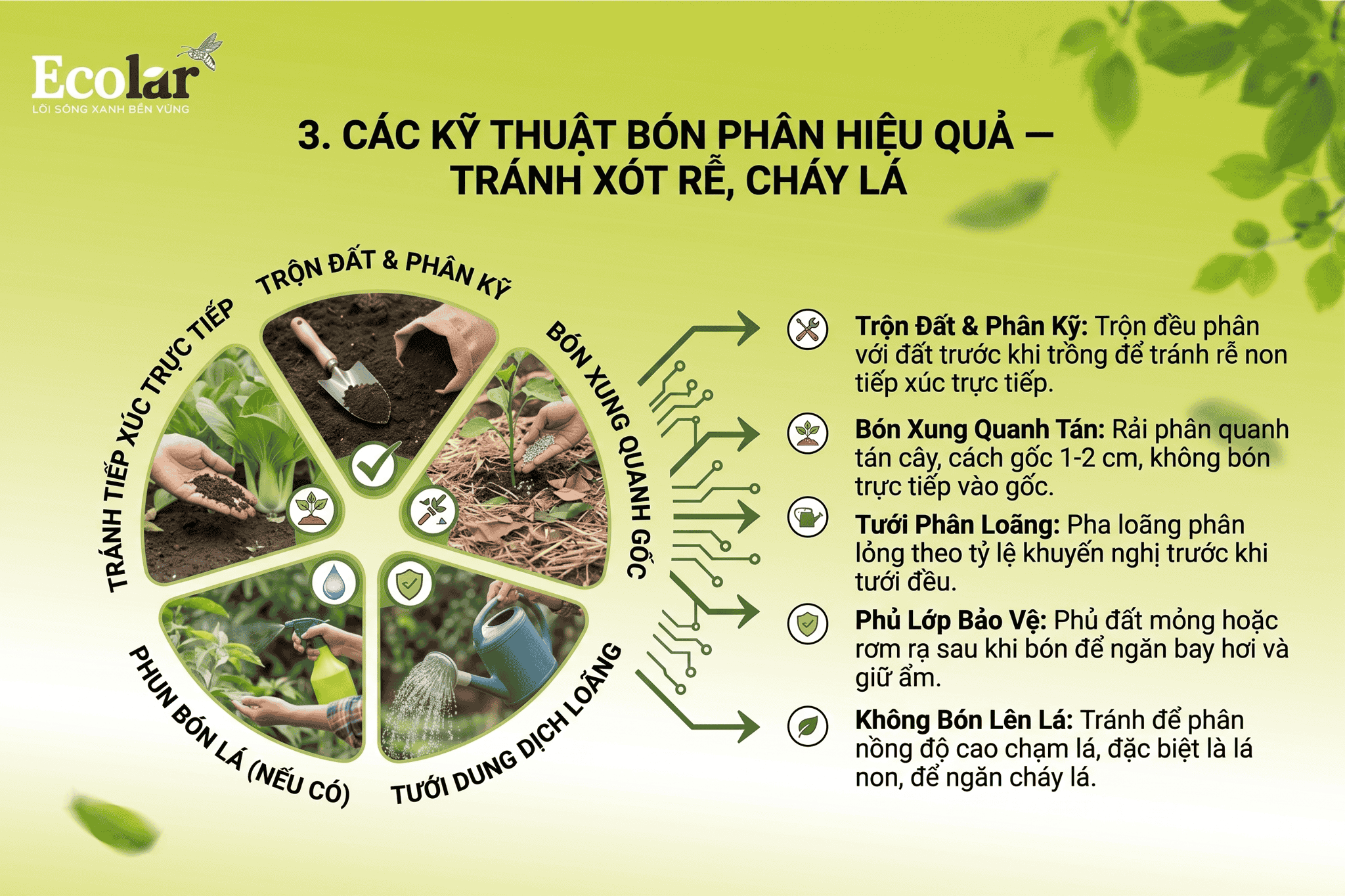 on-phan-hieu-qua-tranh-xot-re-chay-la_cd53fac059c64a00a26cc0fb43da17fc.png