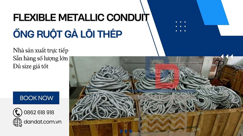 ong-luon-day-dien-0203.jpg ong-luon-day-dien-0203.jpg