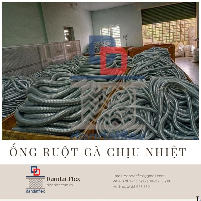 ong-ruot-ga-11.11.jpg