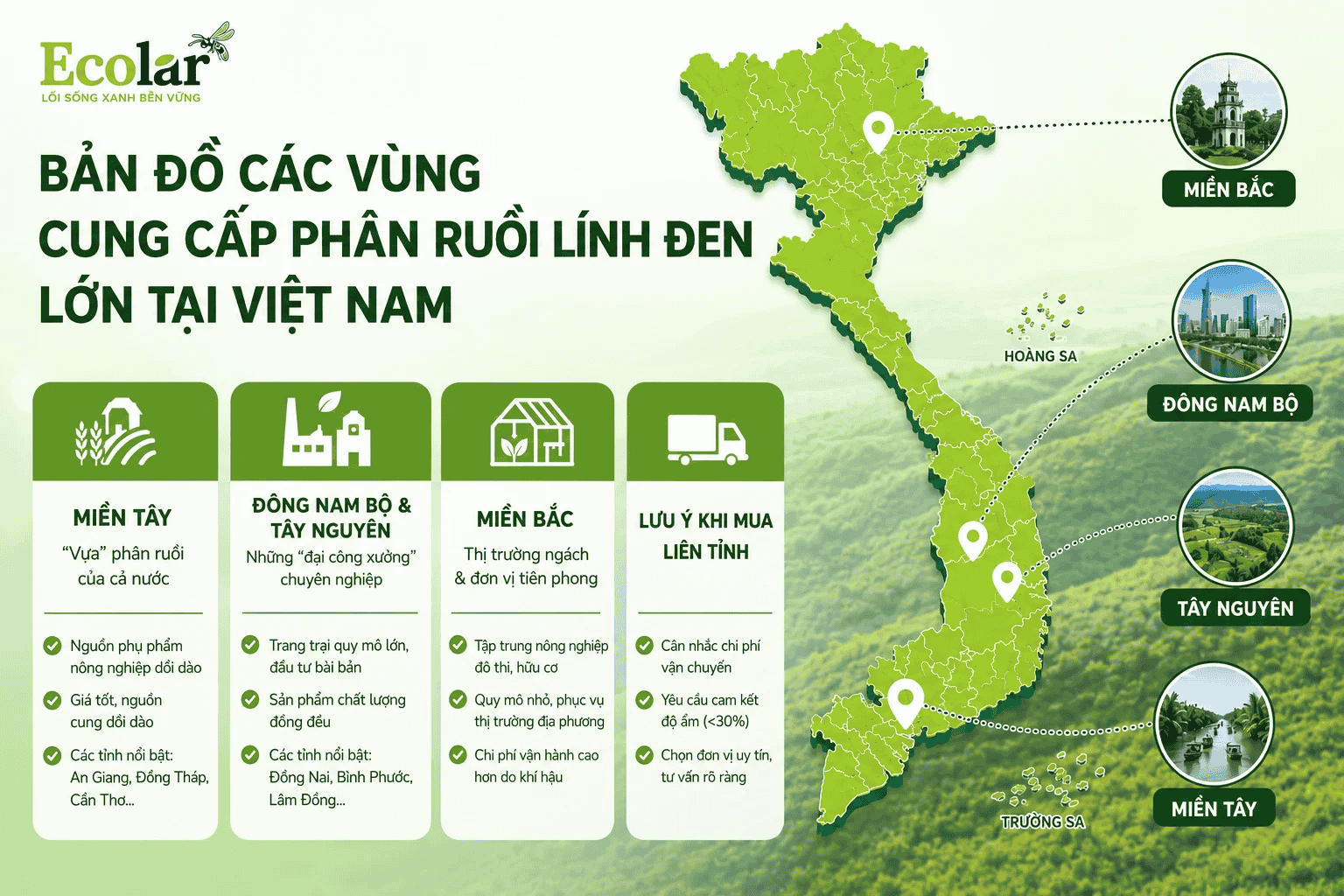 p-phan-ruoi-linh-den-lon-tai-viet-nam_d632513c2b4e44c7a46942638be491eb (1).png