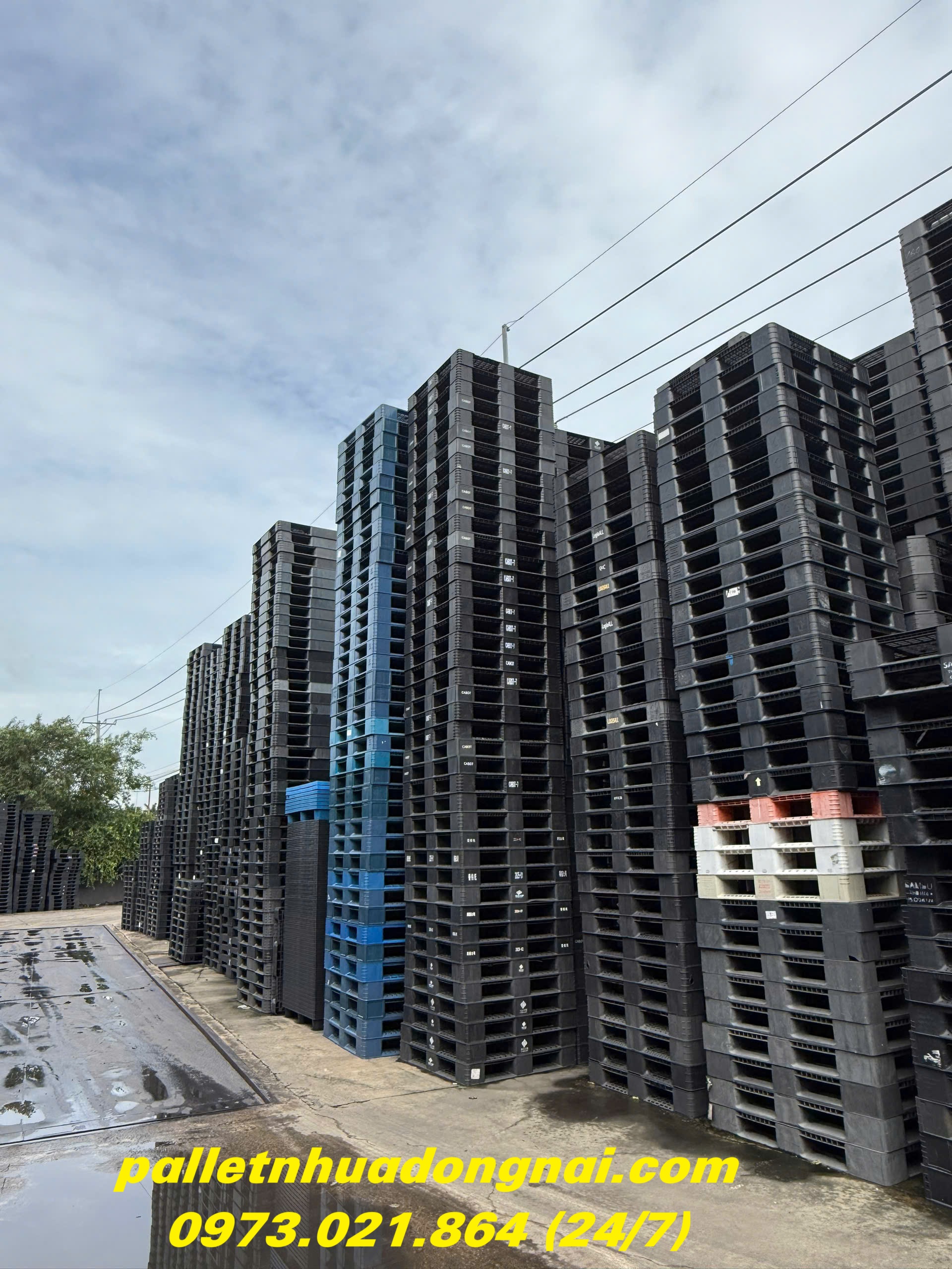 pallet-nhua (1).jpg