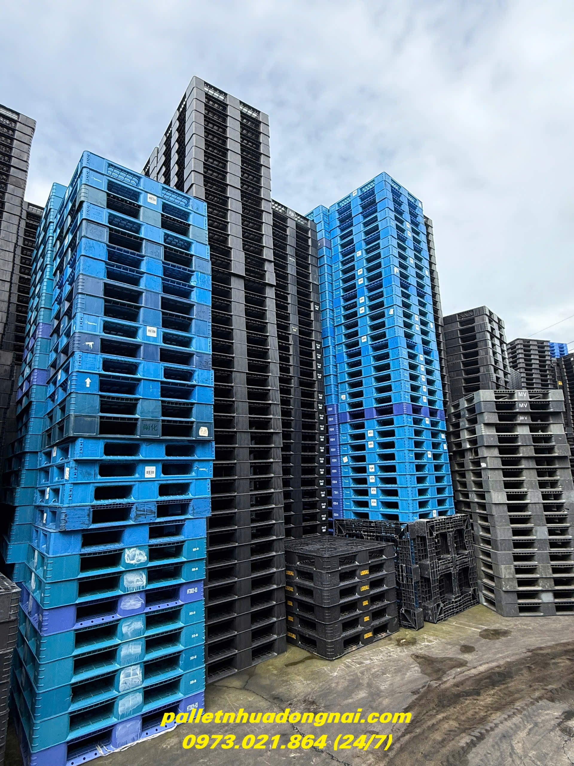 pallet-nhua (3).jpg