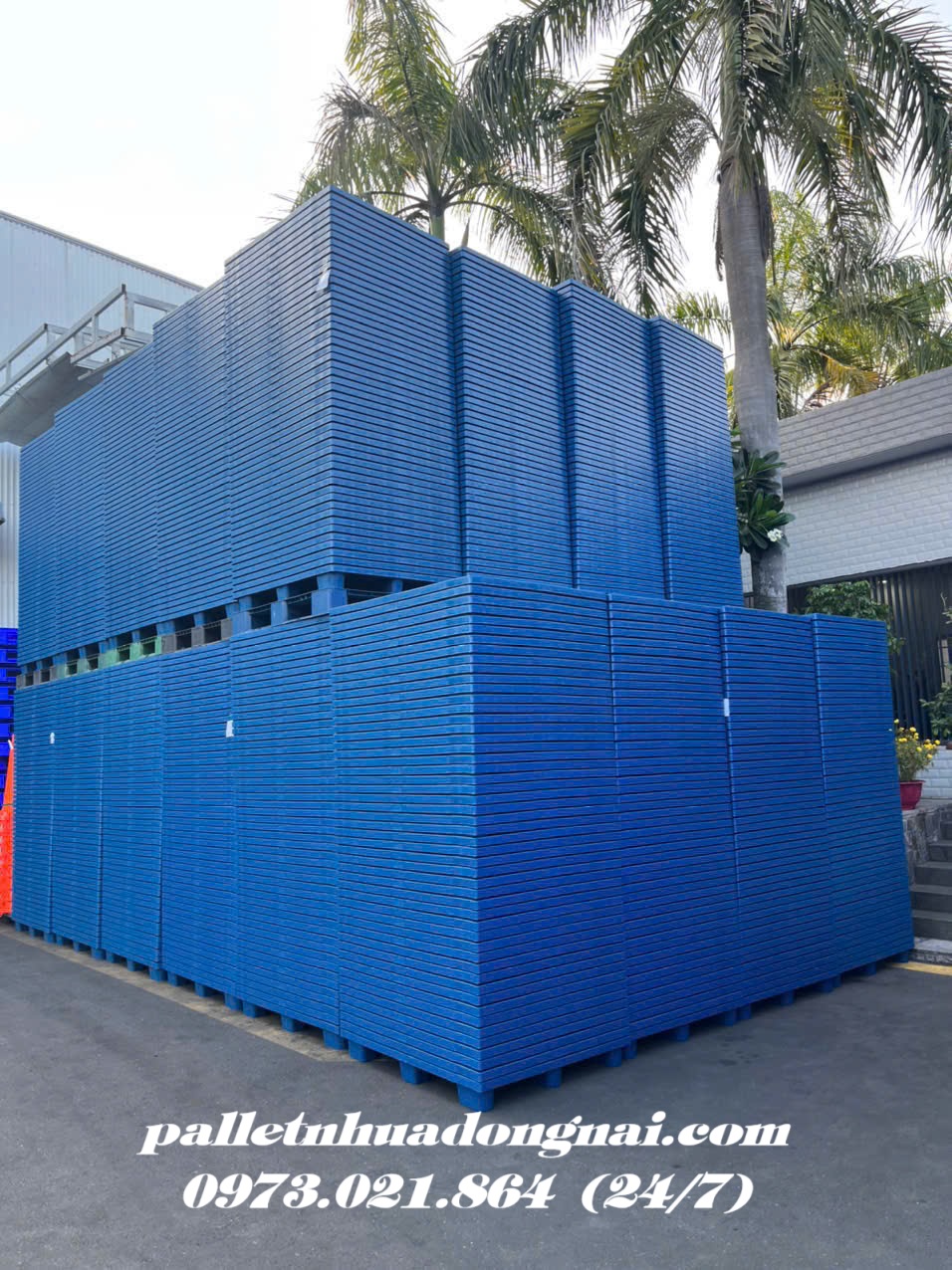 pallet-nhua (5).jpg