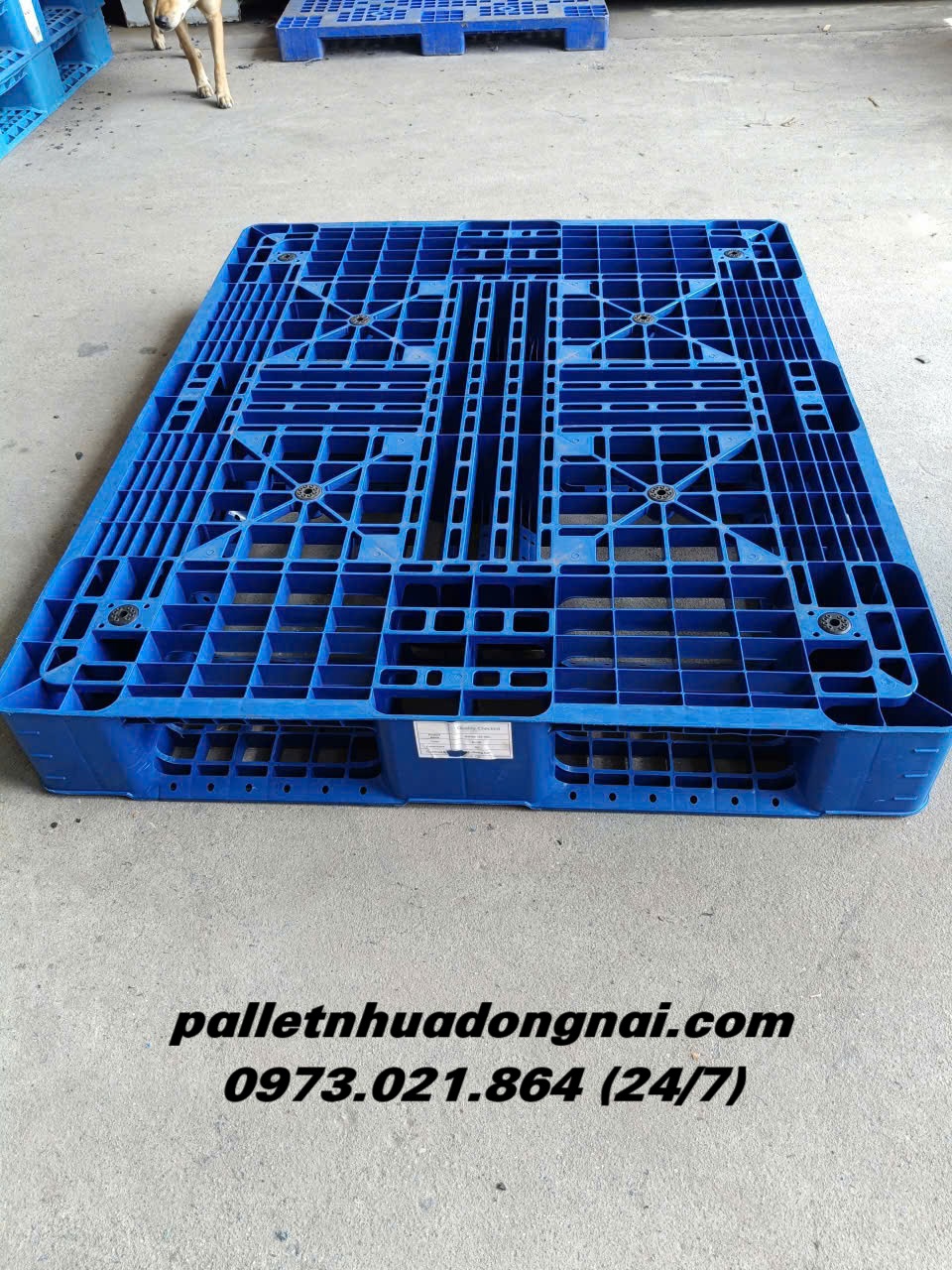 pallet-nhua (554).jpg
