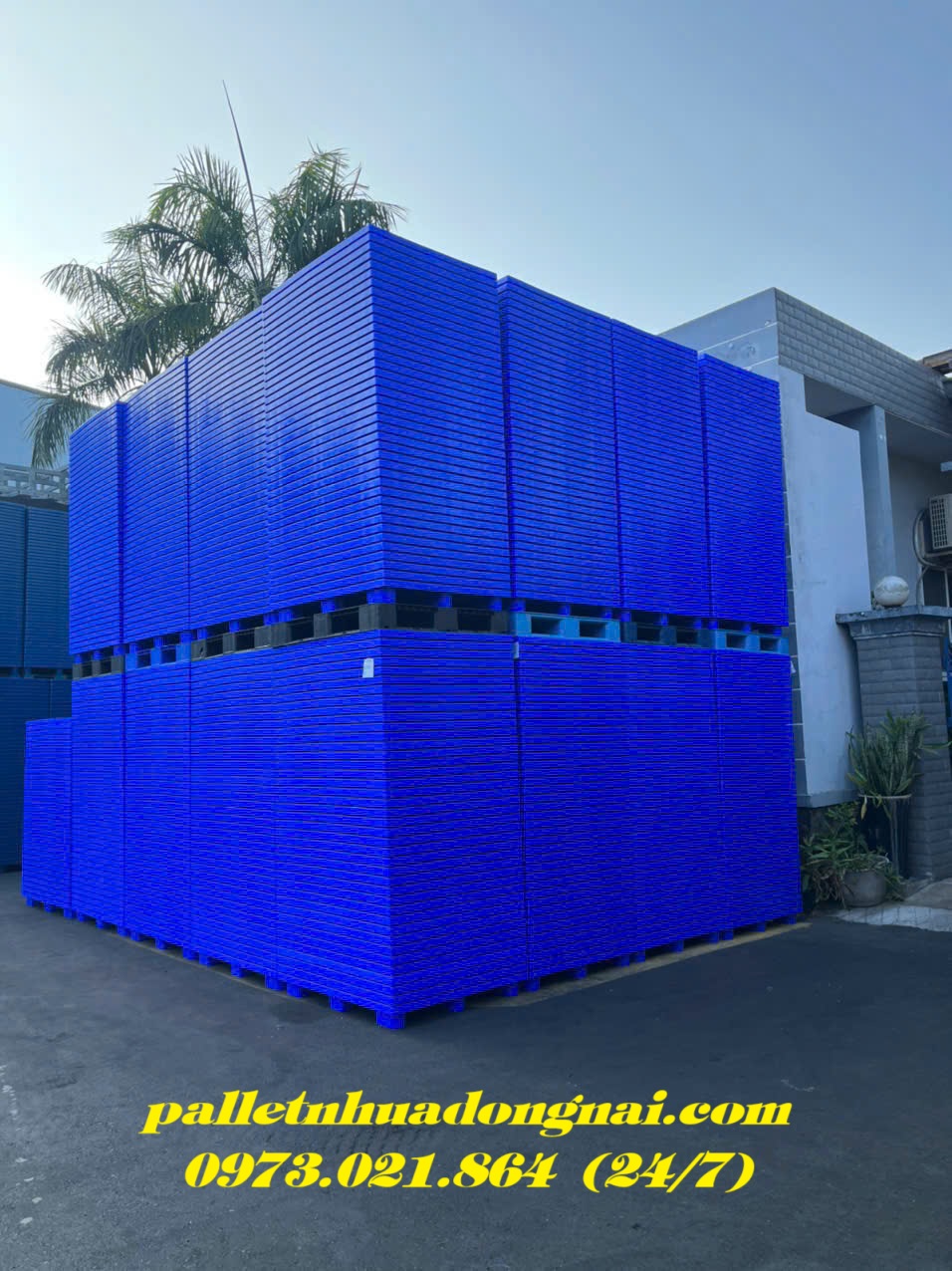 pallet-nhua (6).jpg