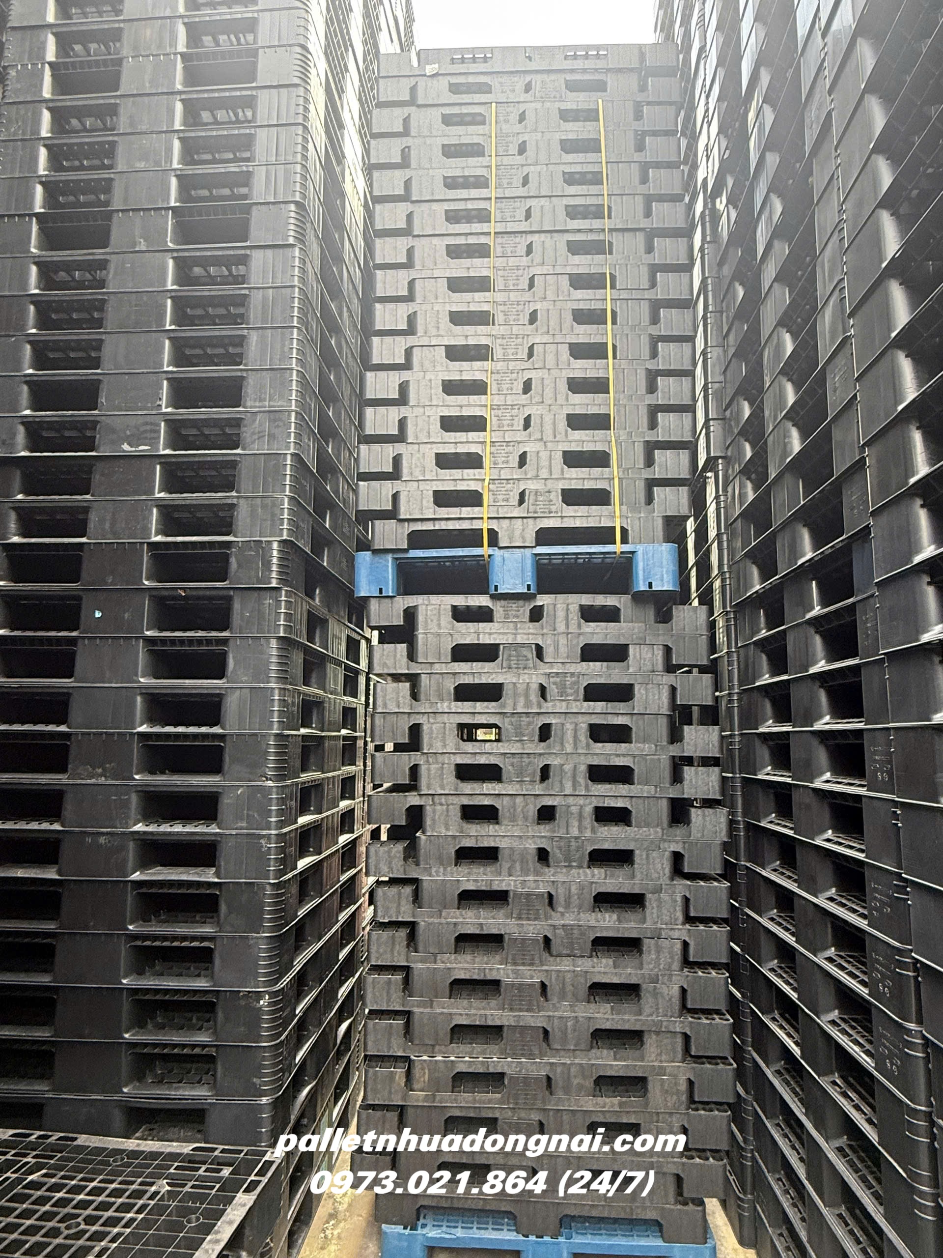 pallet-nhua-cu (201).jpg