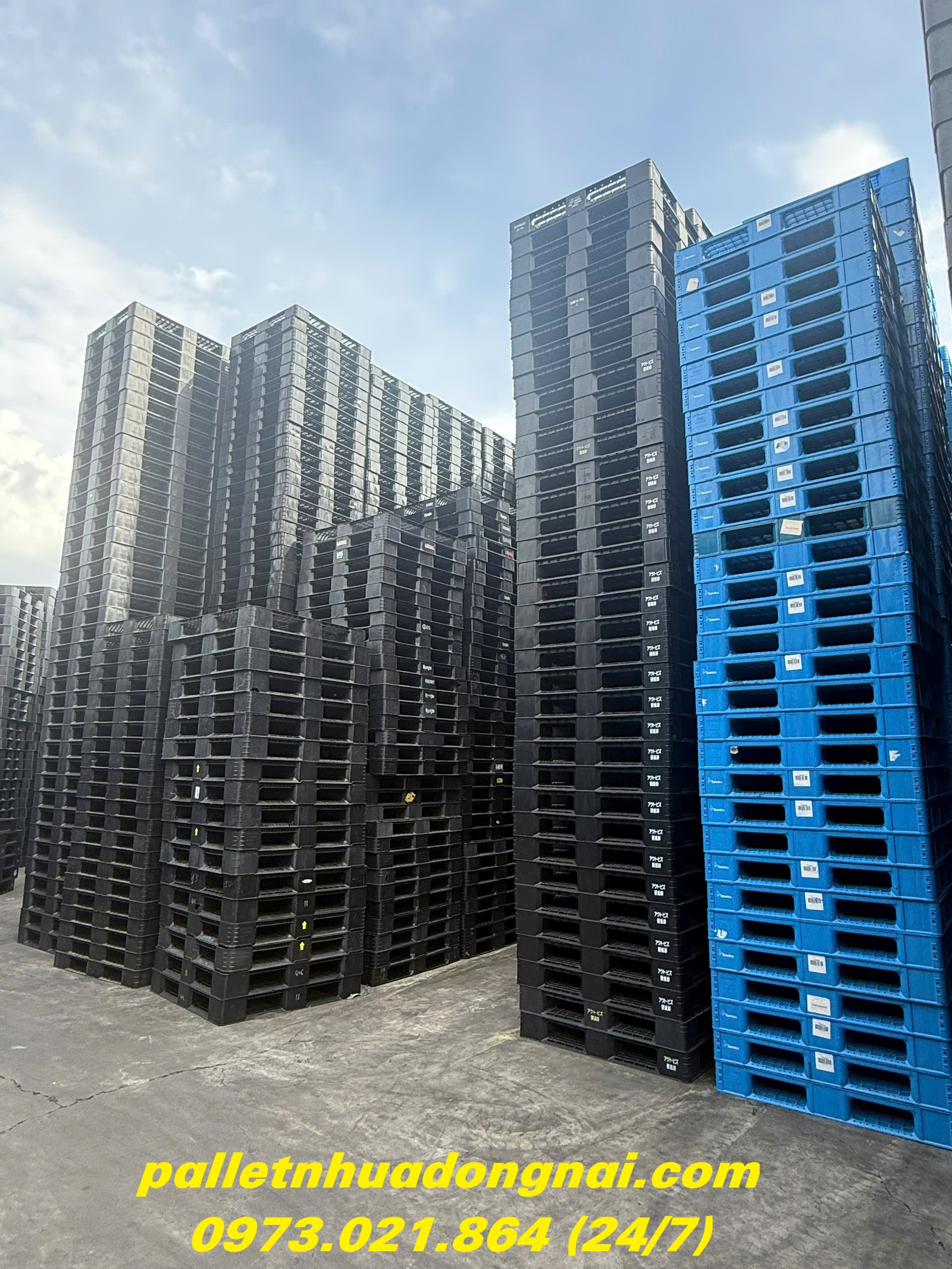 pallet-nhua-cu (203).jpg