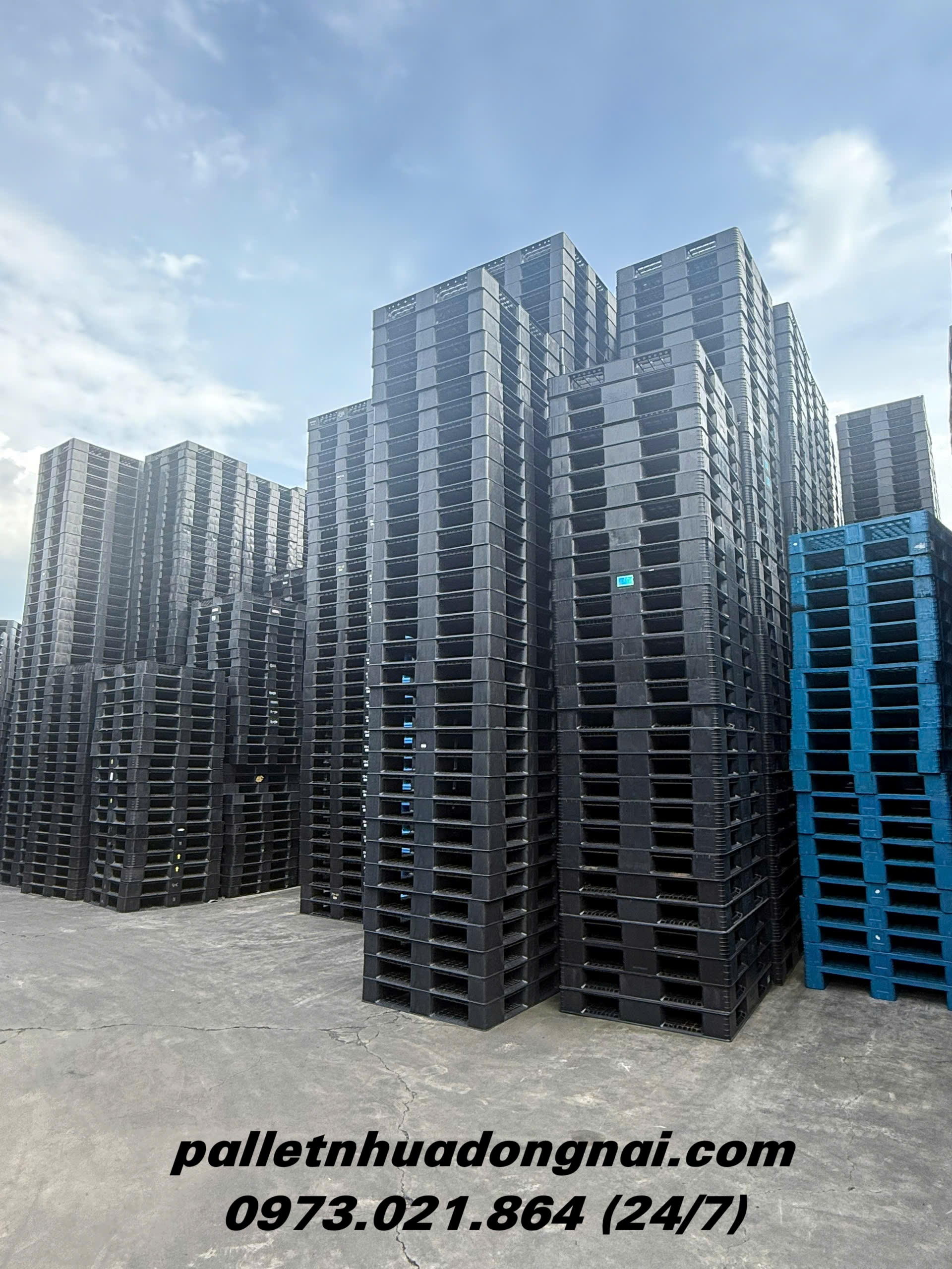 pallet-nhua-cu (204).jpg