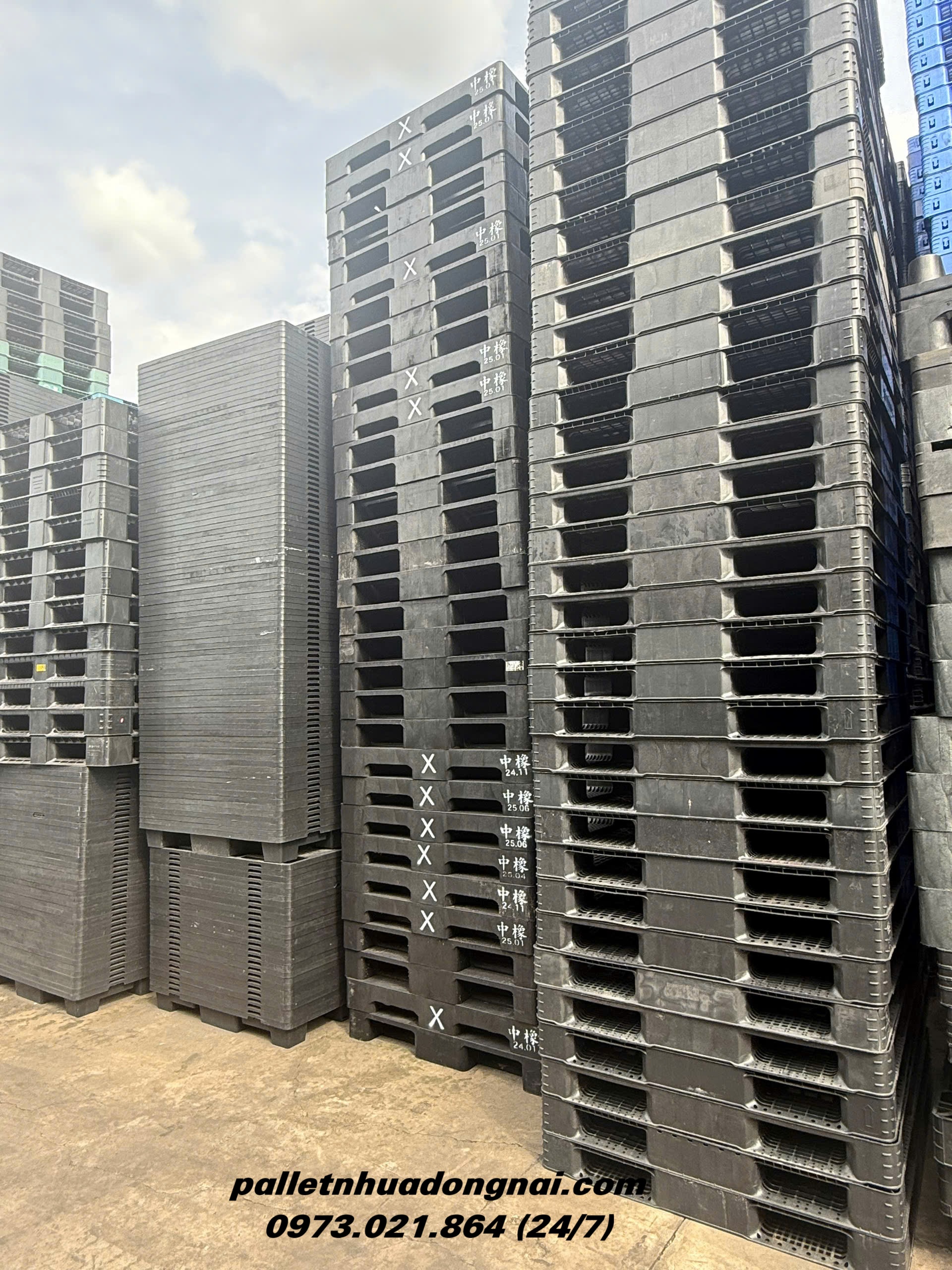 pallet-nhua-cu (205).jpg
