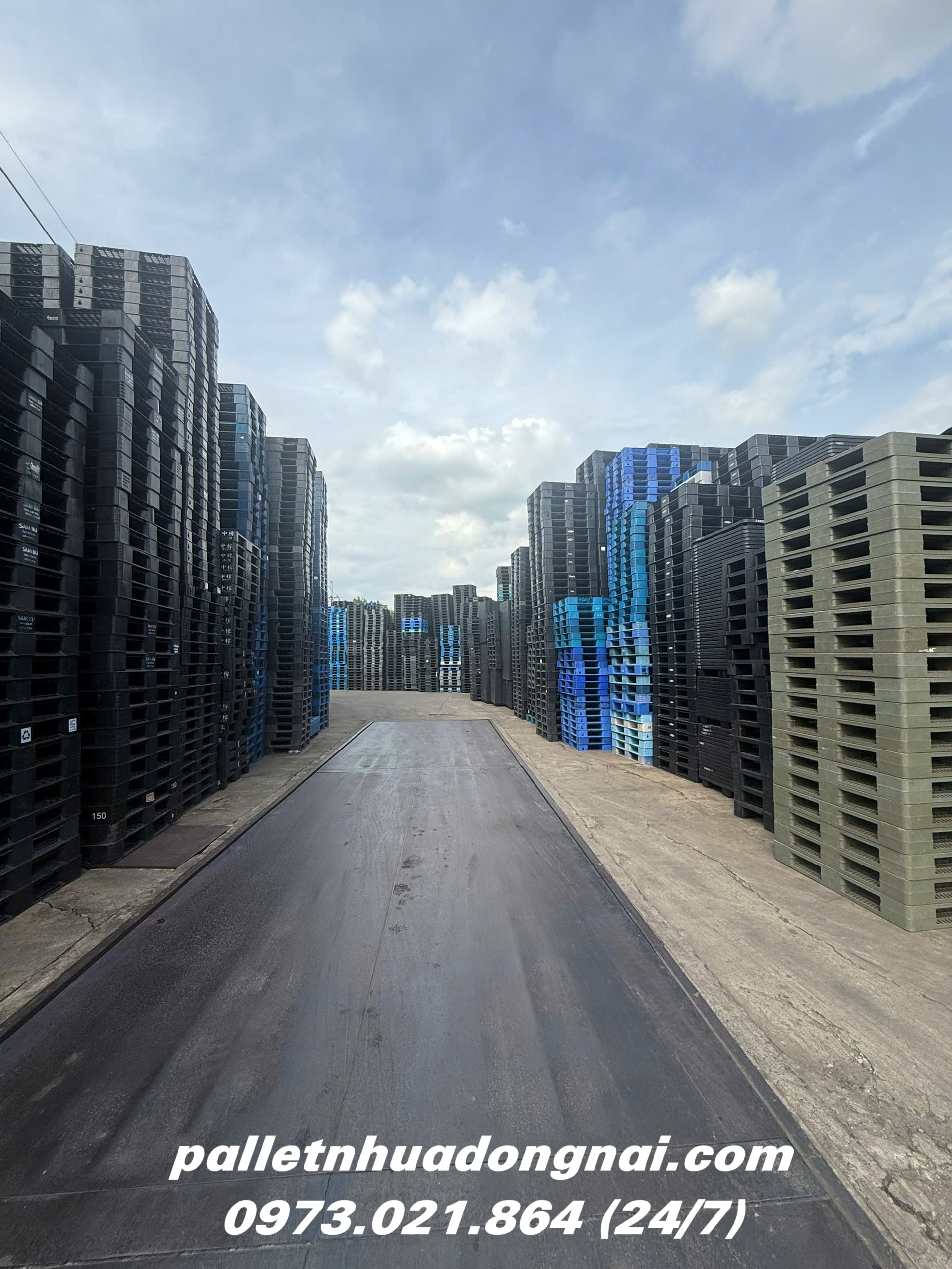 pallet-nhua-cu (206).jpg