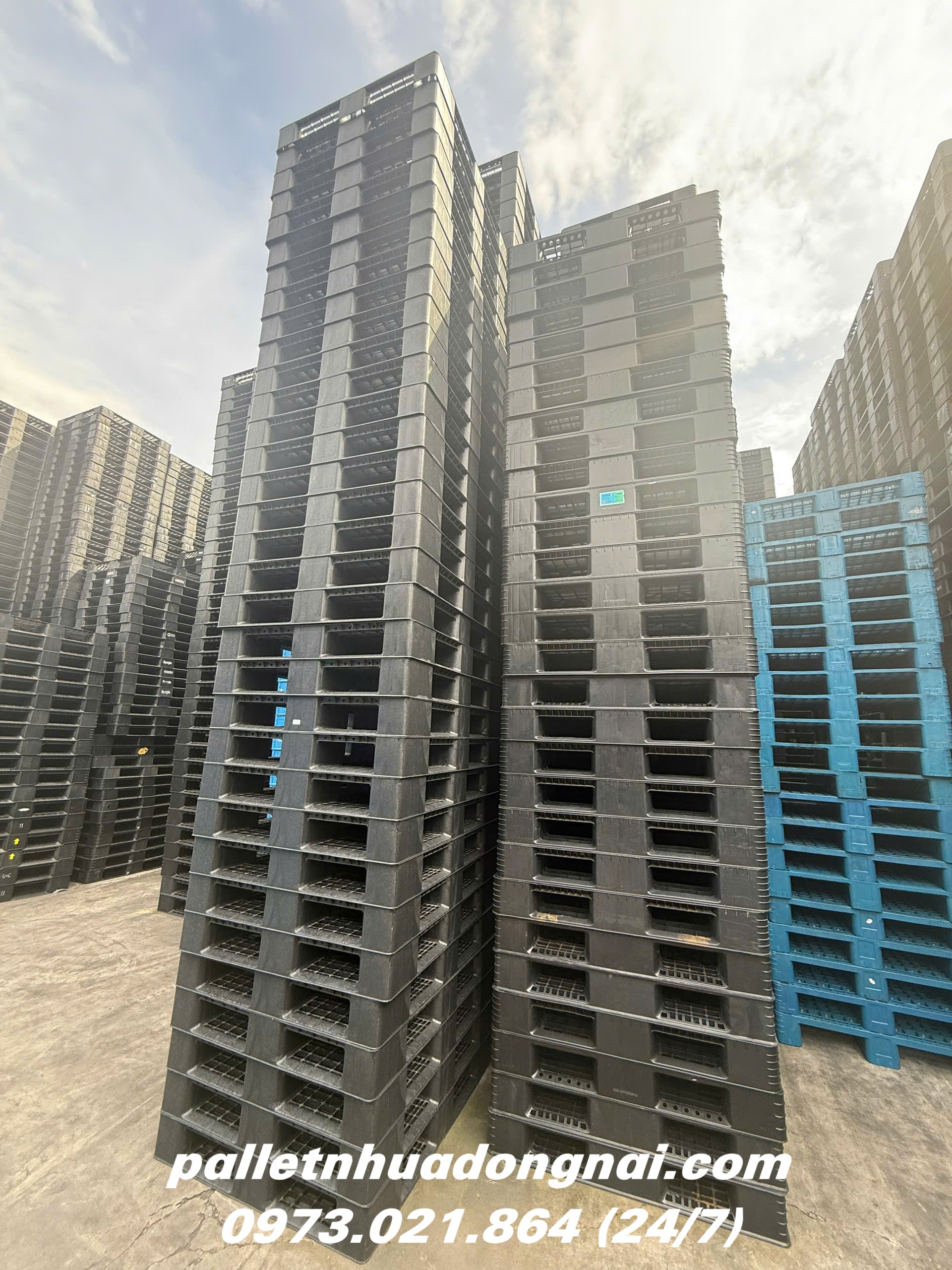 pallet-nhua-cu (207).jpg