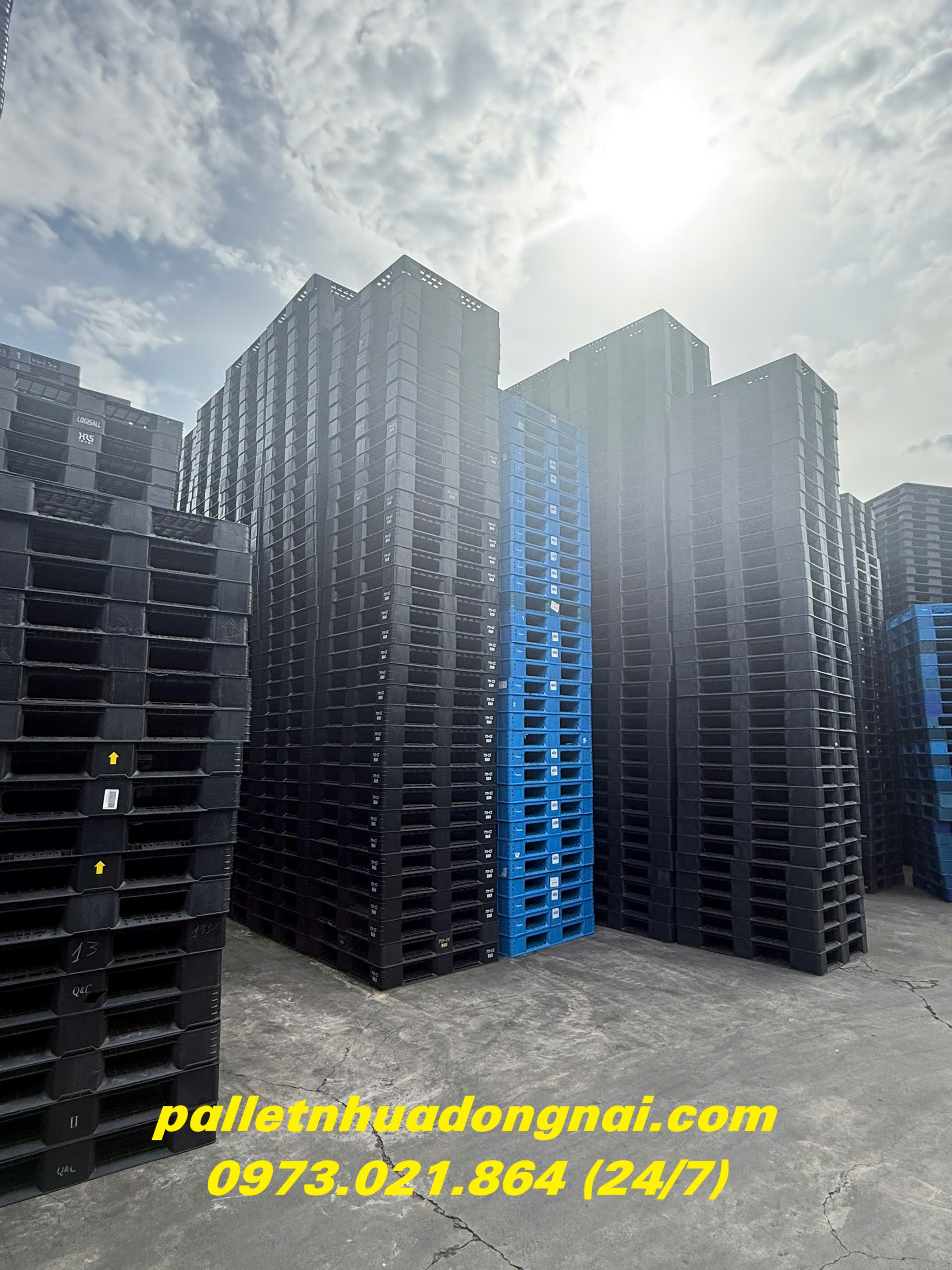 pallet-nhua-cu (208).jpg