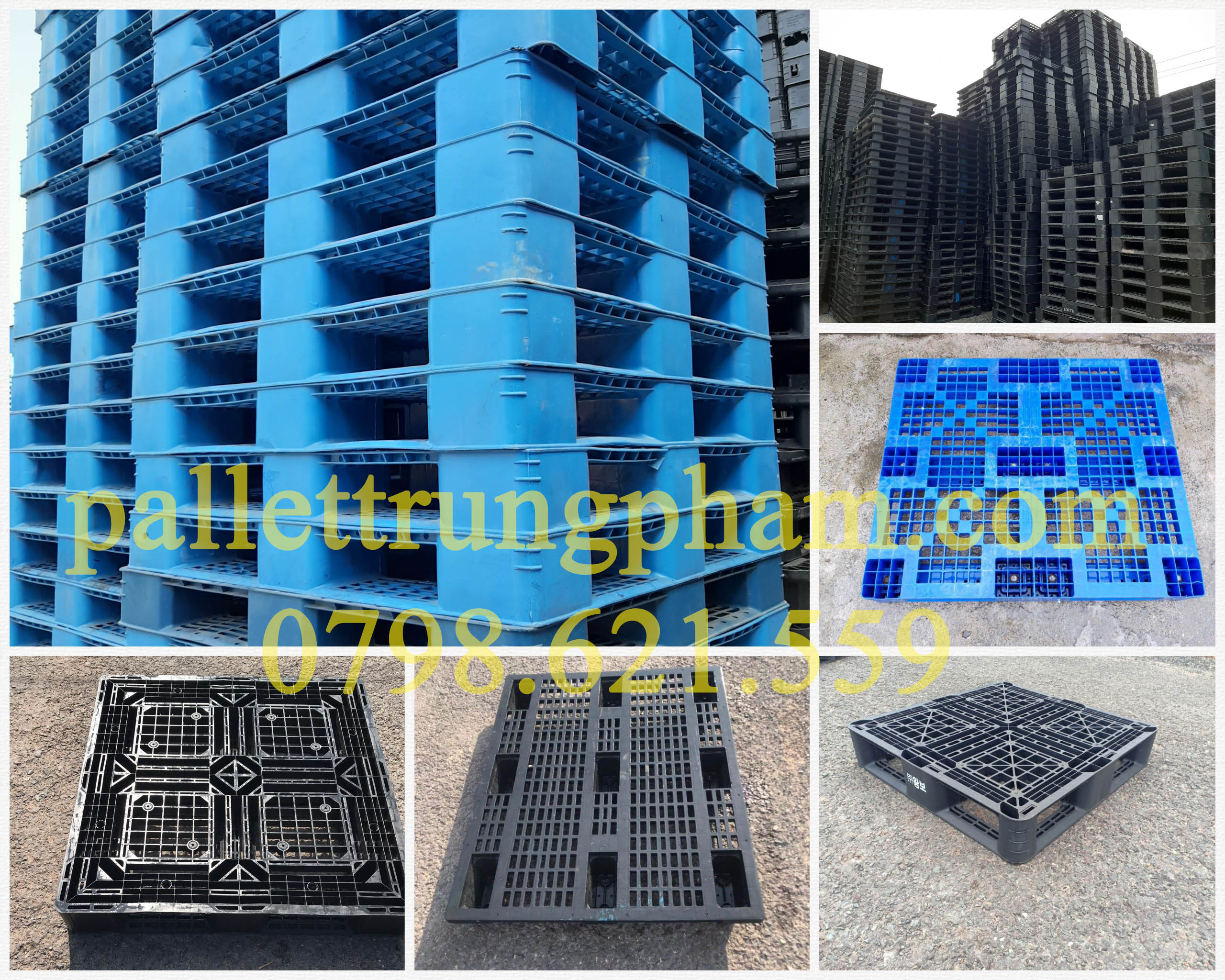 Pallet nhựa Trung Phạm chuyên cun cấp pallet nhựa xuất khẩu và lưu kho