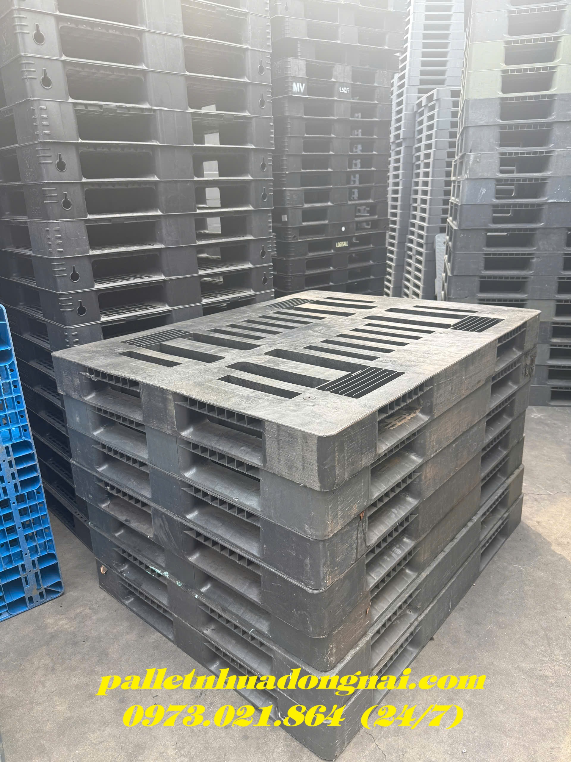 pallet-nhua-cu-soc-trang (14).jpg