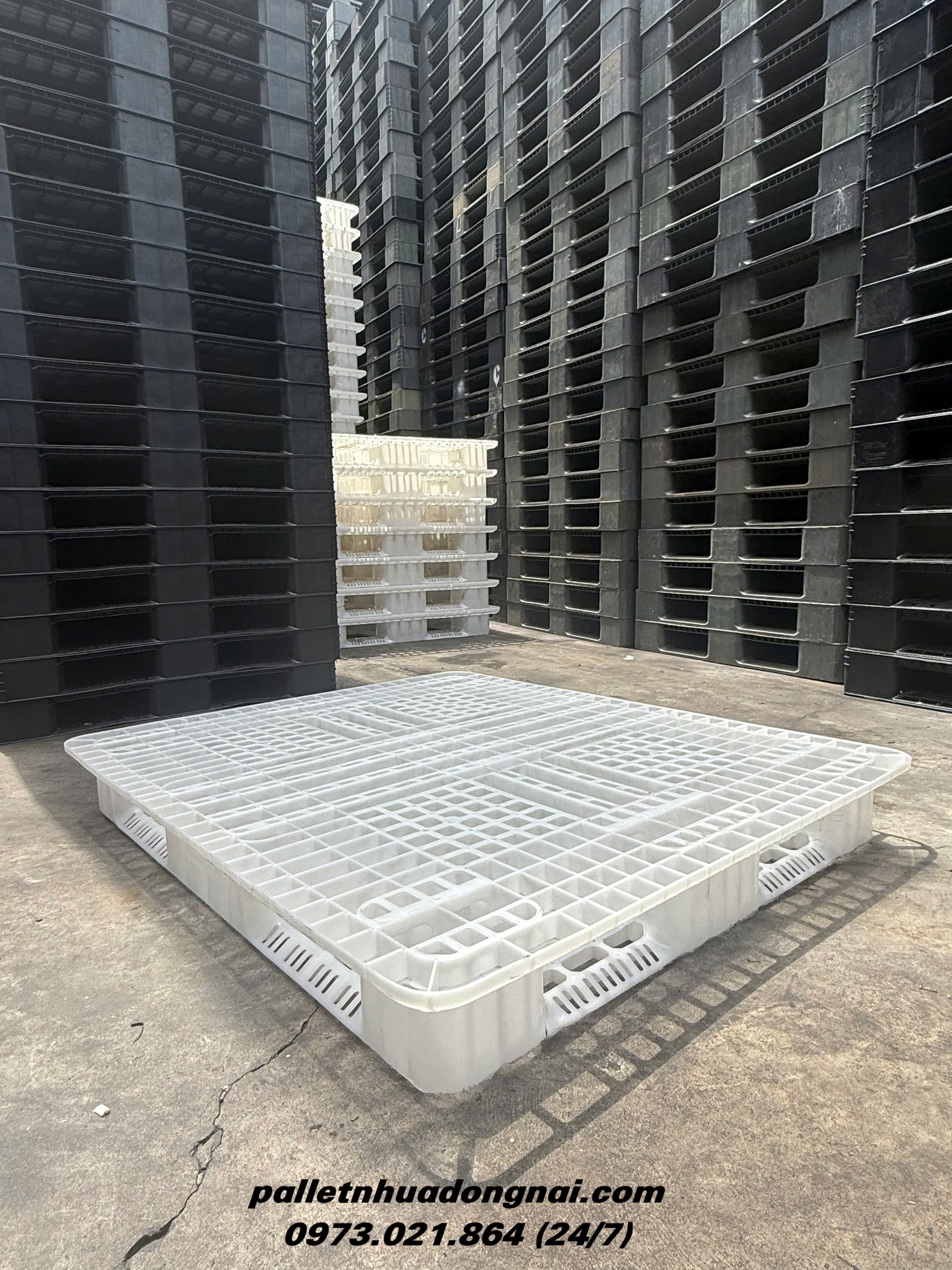 Bán Thanh Lý Lô Pallet Nhựa Tai Bèo 1100x1300x150mm Màu Trắng