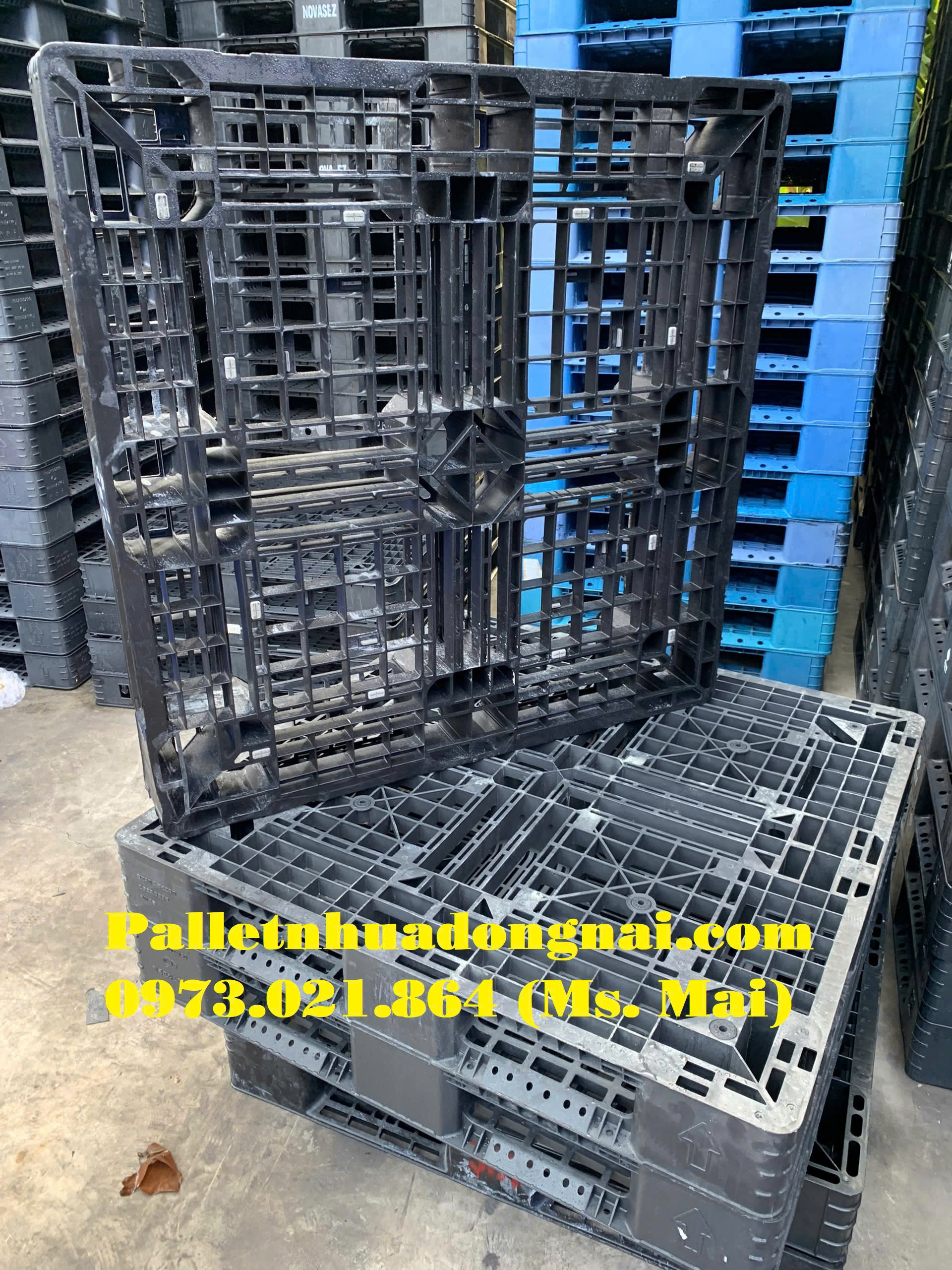 pallet-nhua-tphcm (11).jpg
