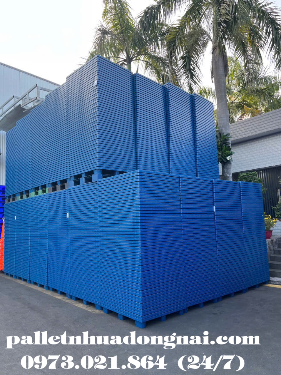 pallet-nhua-tphcm (3).jpg