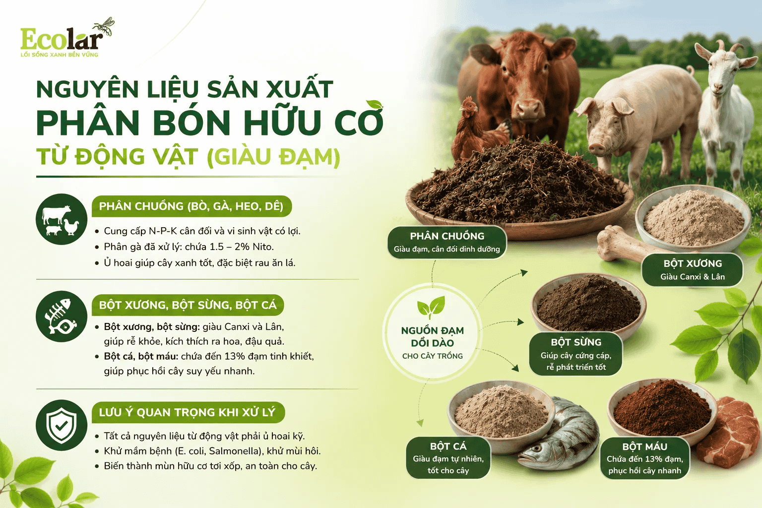 -phan-bon-huu-co-tu-dong-vat-giau-dam_fd0b33cd65b04d998eb6ed22eb44b2a9 (1).png
