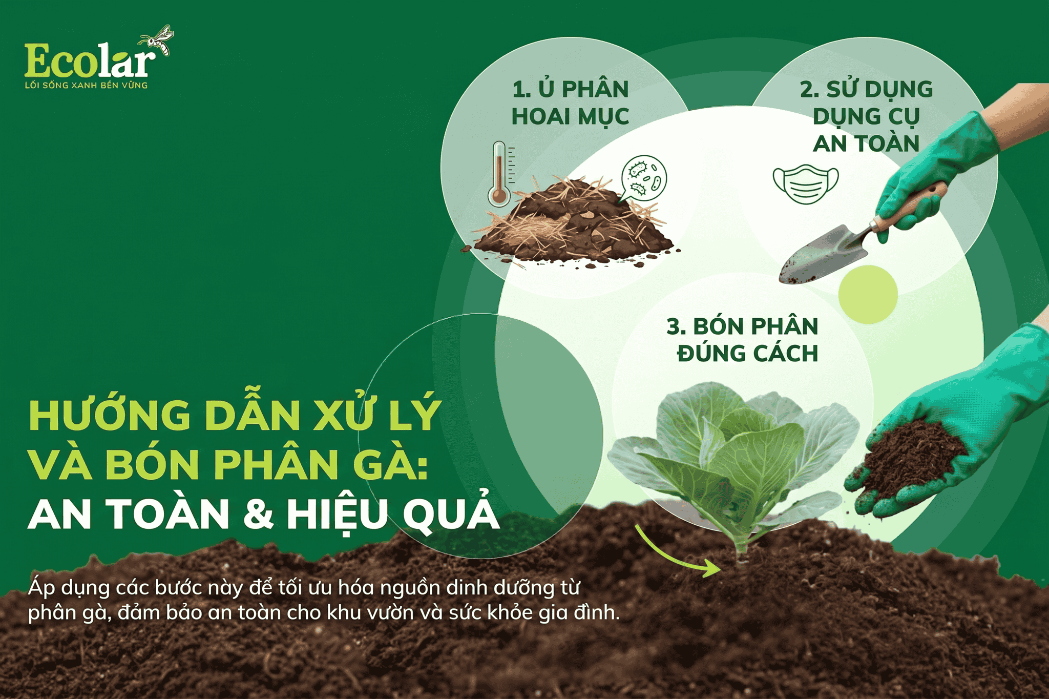 phan-ga-an-toan-hieu-qua-cho-vuon-rau_435c0af4a5344d03a9849866bb440a89 (1).png