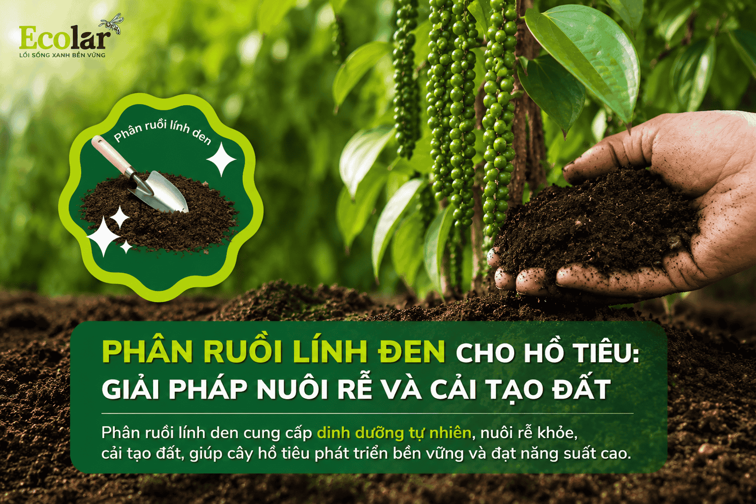 phan-ruoi-linh-den-cho-ho-tieu-giai-phap-nuoi-re-va-cai-tao-dat.png