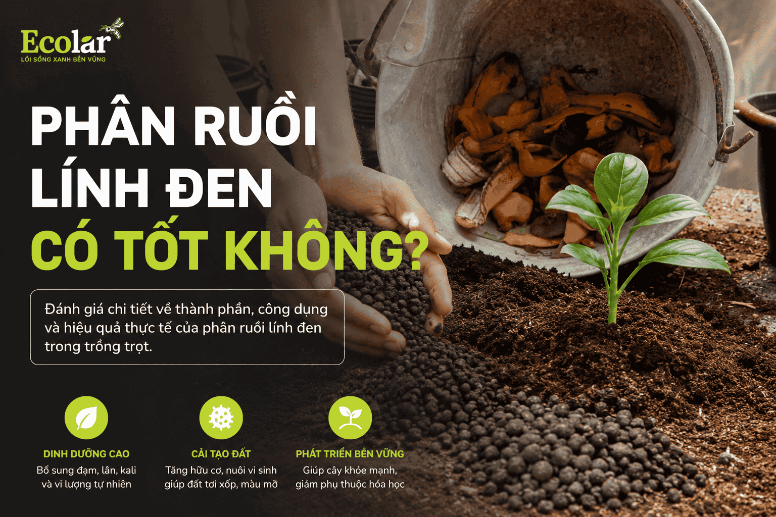 phan-ruoi-linh-den-co-tot-khong-uu-diem-va-thuc-te-su-dung_843bf8a3d8764ae28fb981fcbea84e33 (1).png