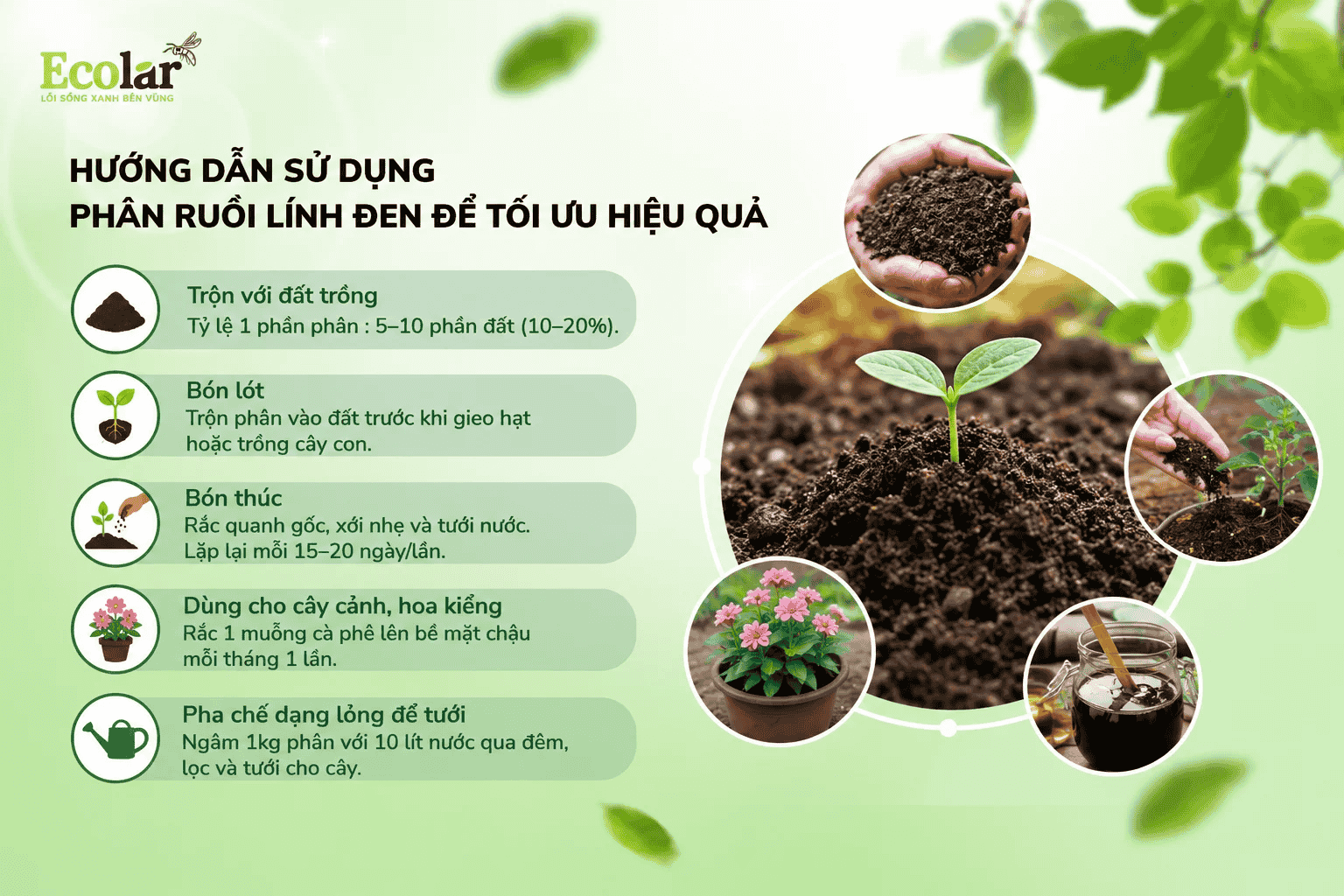 phan-ruoi-linh-den-de-toi-uu-hieu-qua_317039f403f24085b3ea272d033beee6 (1).png