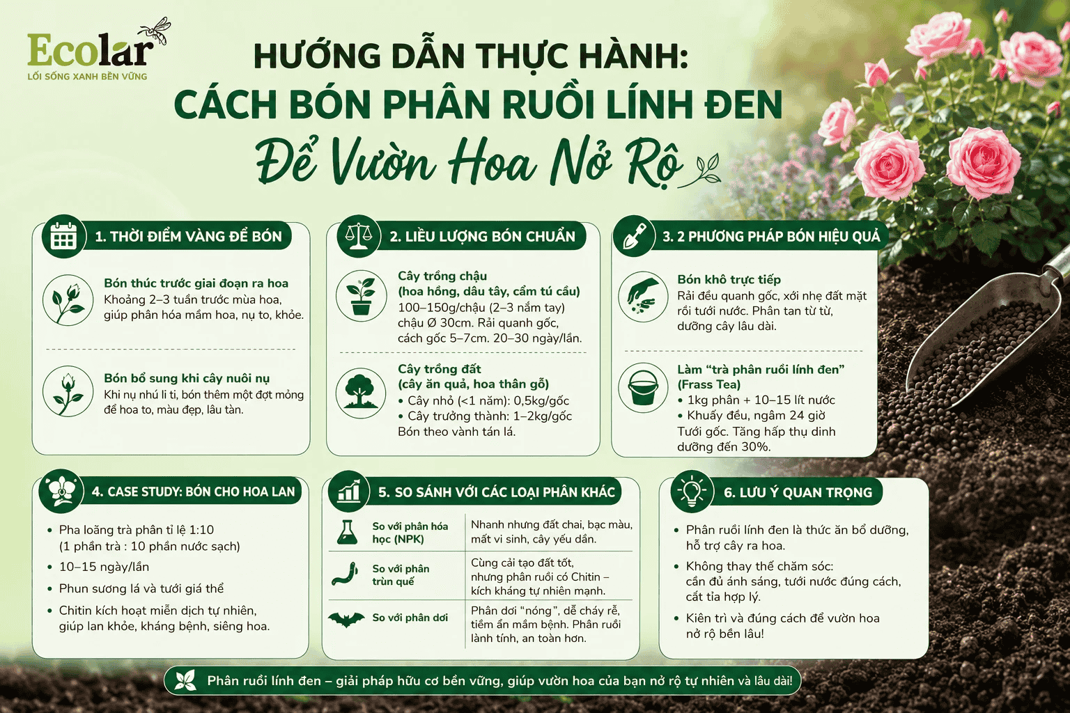-phan-ruoi-linh-den-de-vuon-hoa-no-ro_3a8b8b2a7c764246a808653131fbcb60 (1).png
