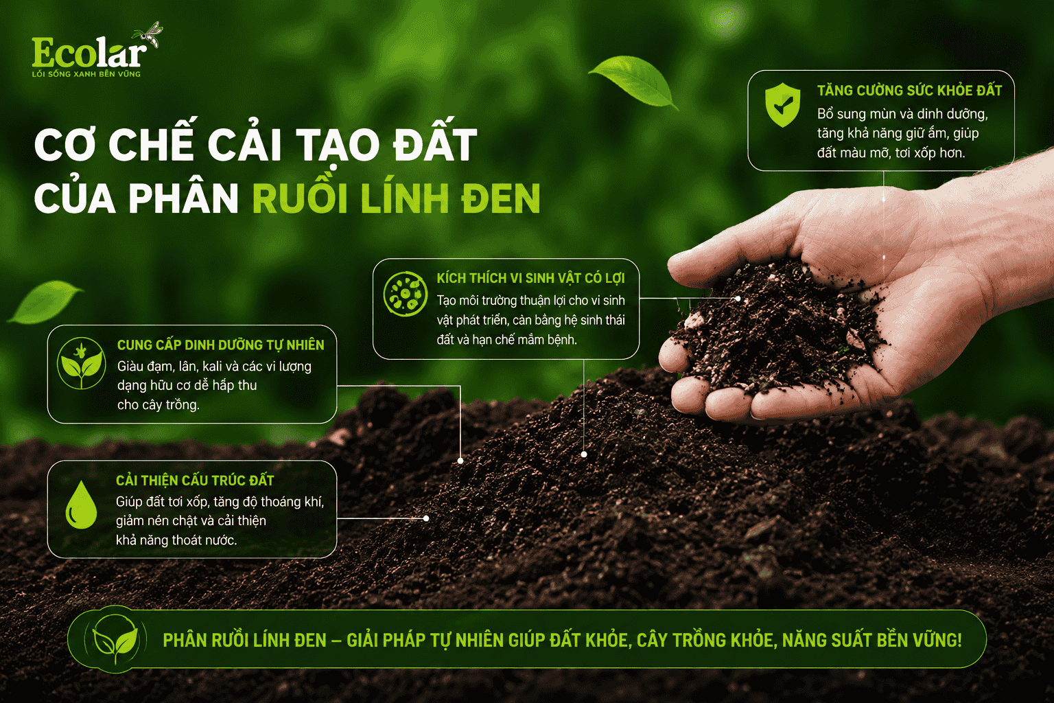 phan-ruoi-linh-den-giup-cai-tao-dat-va-nuoi-re-nhu-the-nao_bafbf260d9e7469c991ae88b7385ef37.png