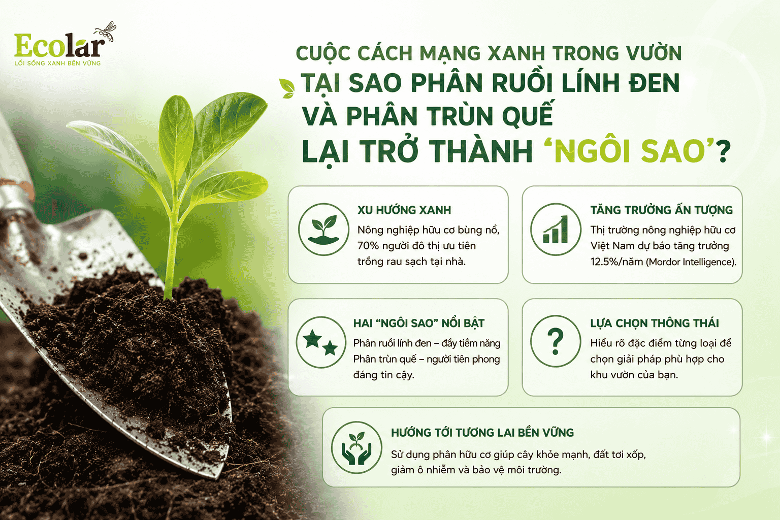 -phan-trun-que-lai-tro-thanh-ngoi-sao_8fdd848d17834928870bfb049913958c (1).png