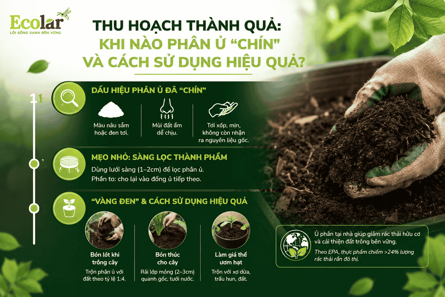 -phan-u-chin-va-cach-su-dung-hieu-qua_854a939c37744f8b8941f21db53bf155 (1).png
