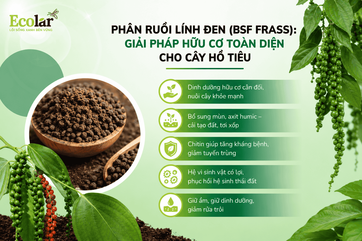 phap-huu-co-toan-dien-cho-cay-ho-tieu_e5f41666324e430bb83d14ecd79481b2 (1).png